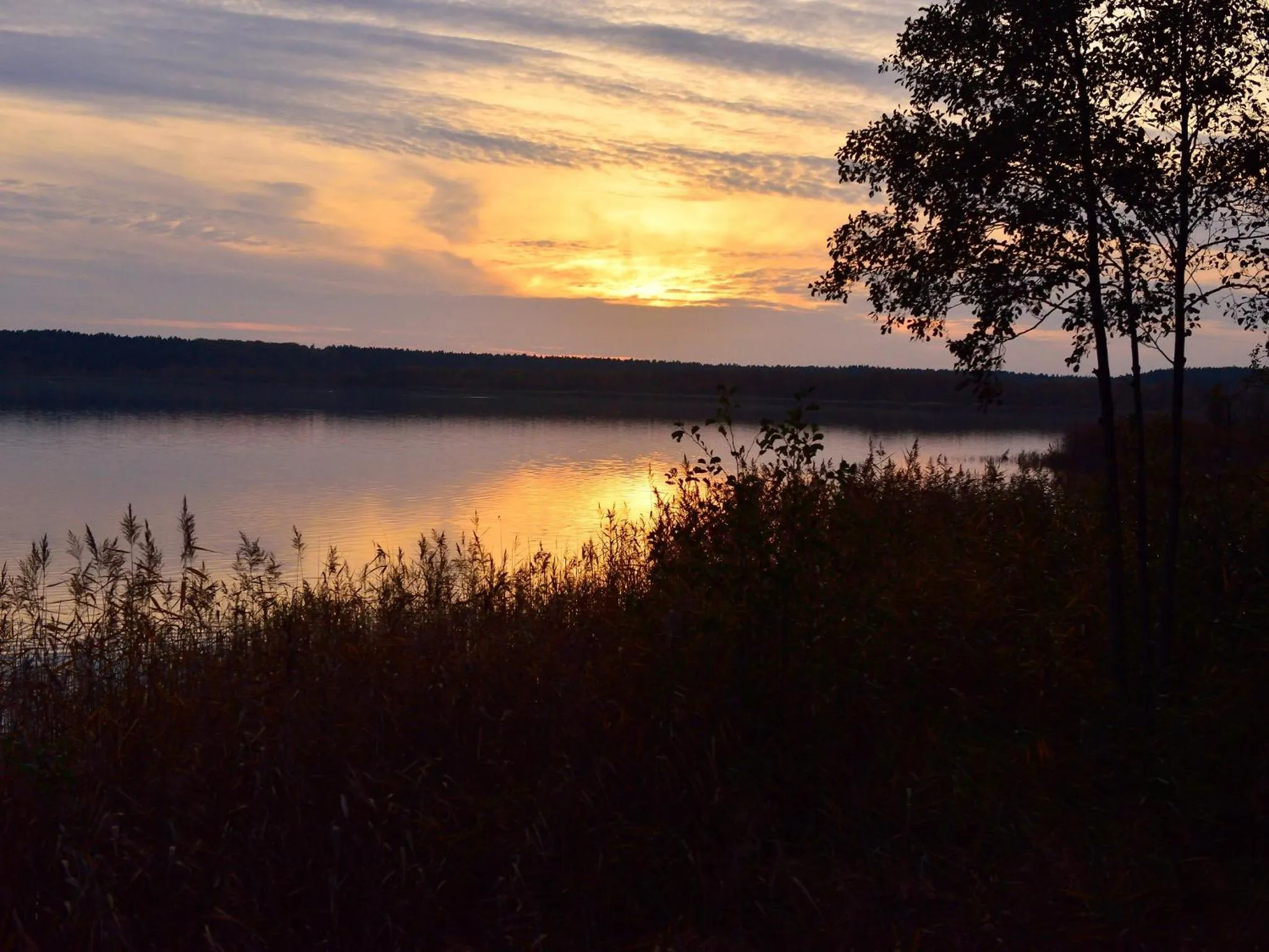 Summer in Nationalparkhotel Kranichrast