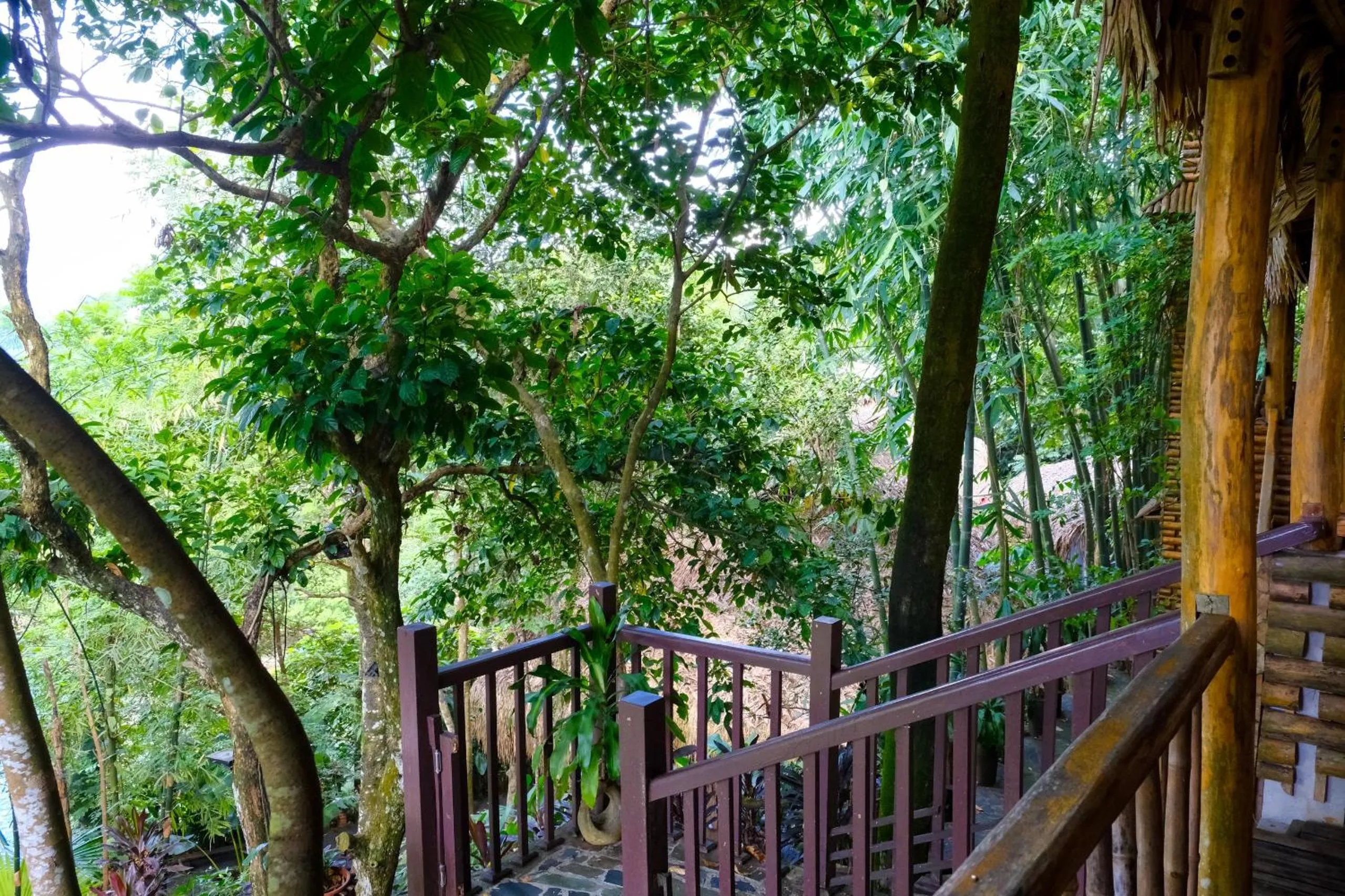 View (from property/room) in Pu Luong Jungle Lodge
