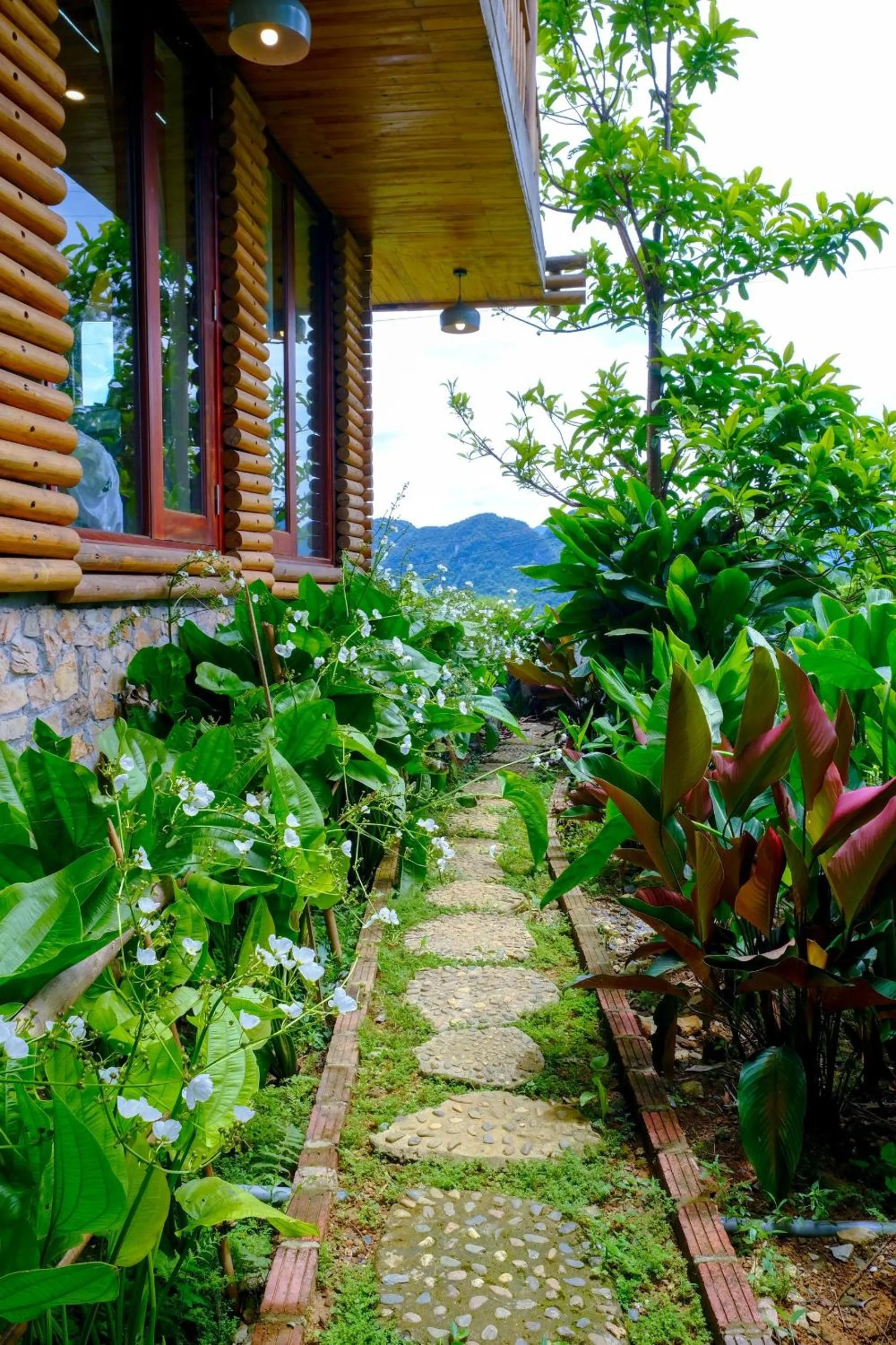 Garden in Pu Luong Jungle Lodge