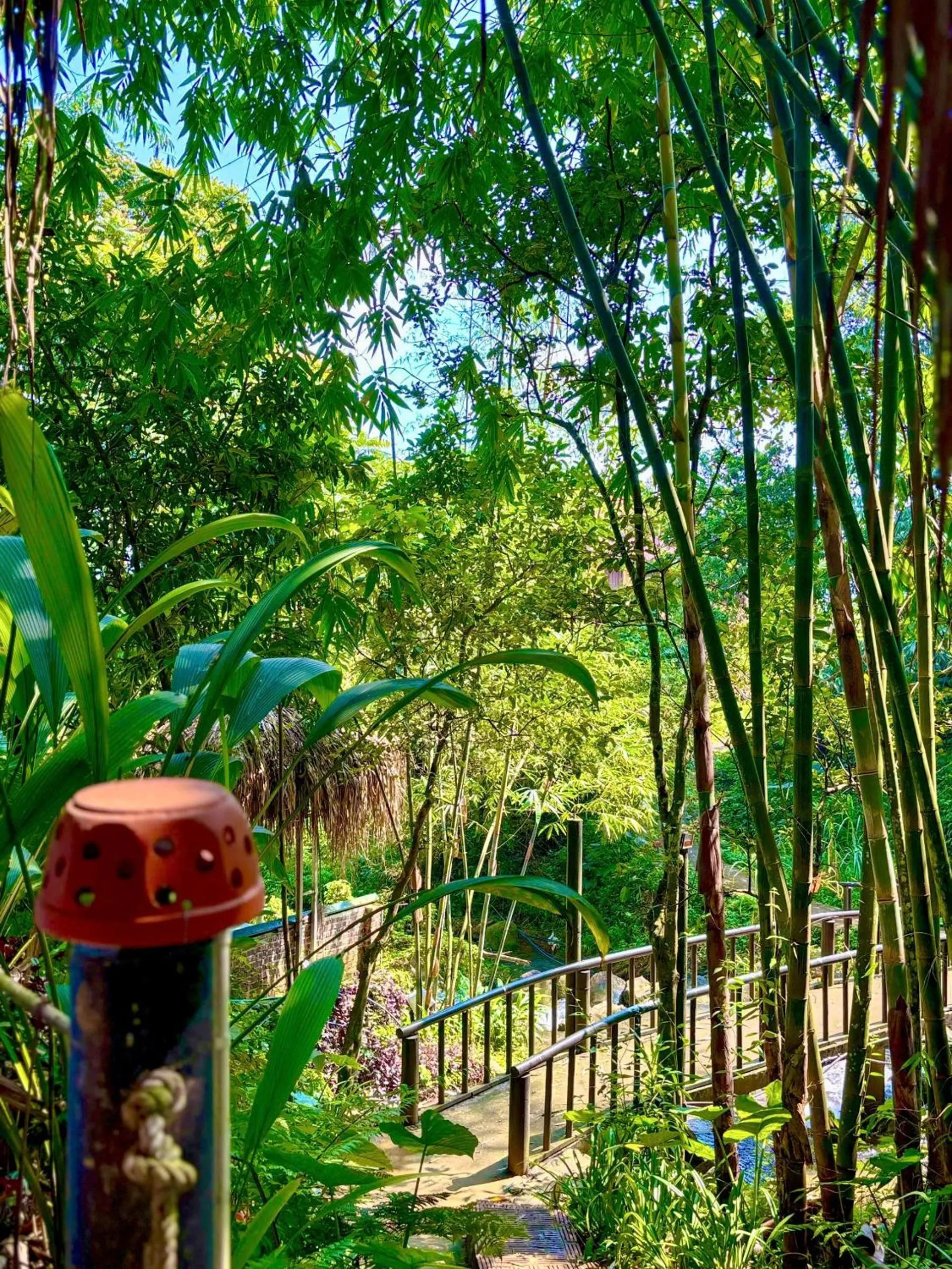 On site in Pu Luong Jungle Lodge