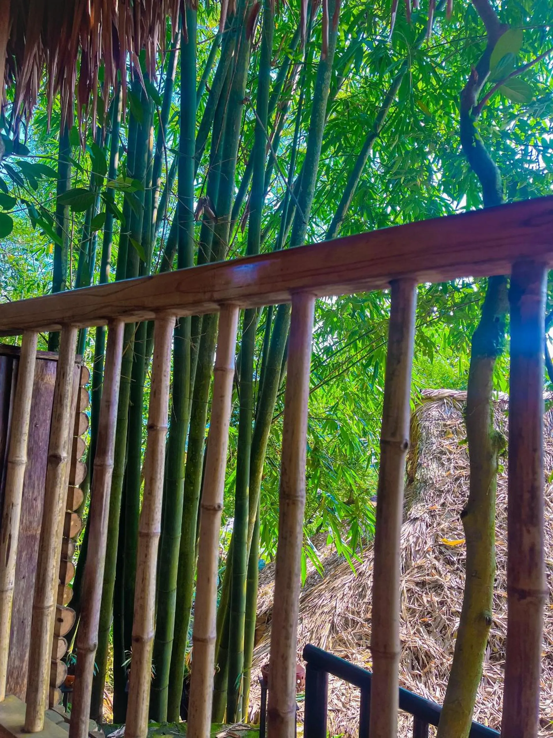 Balcony/Terrace in Pu Luong Jungle Lodge