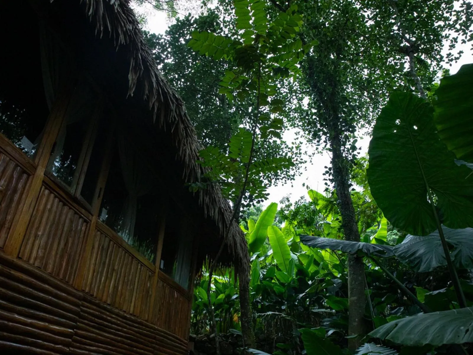 Other in Pu Luong Jungle Lodge