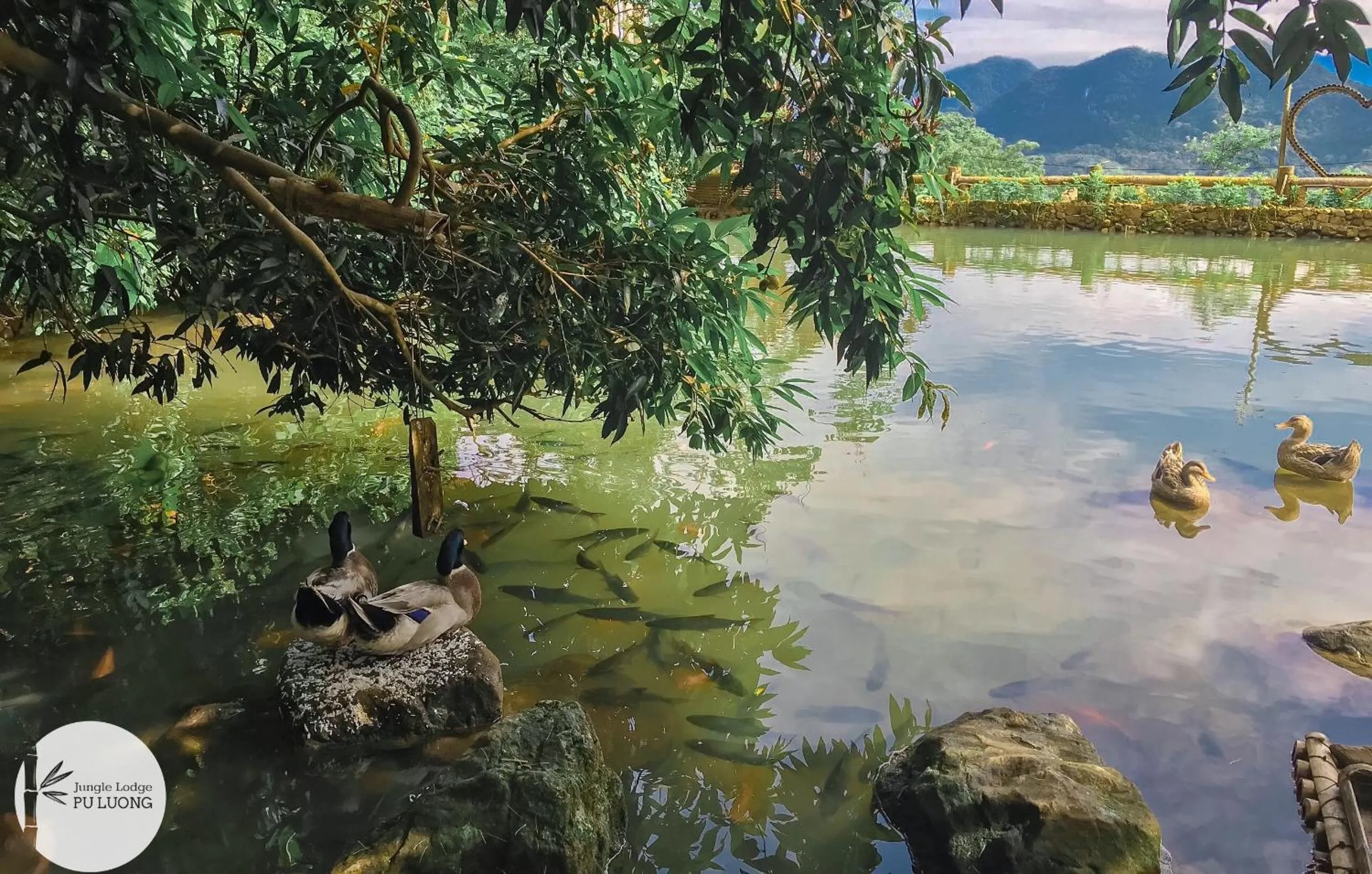 On site in Pu Luong Jungle Lodge