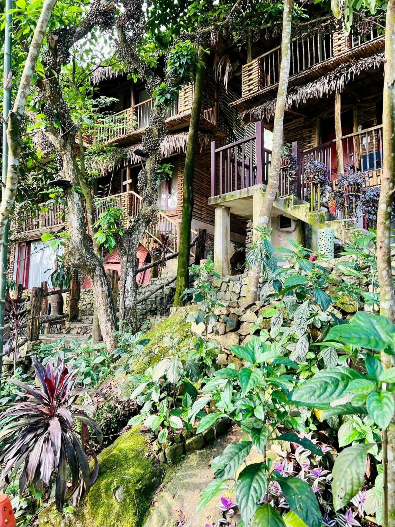 Property building in Pu Luong Jungle Lodge