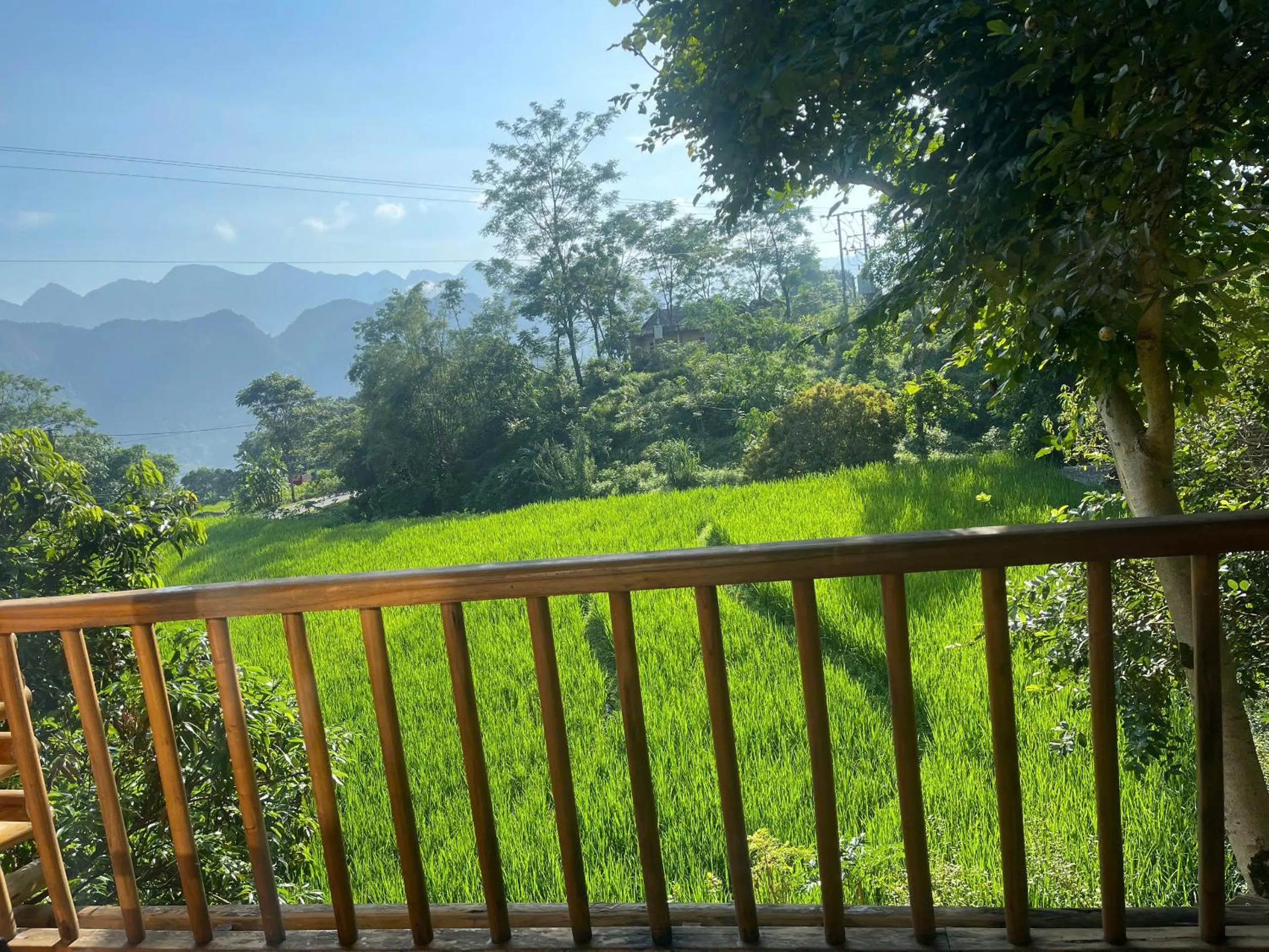 View (from property/room) in Pu Luong Jungle Lodge