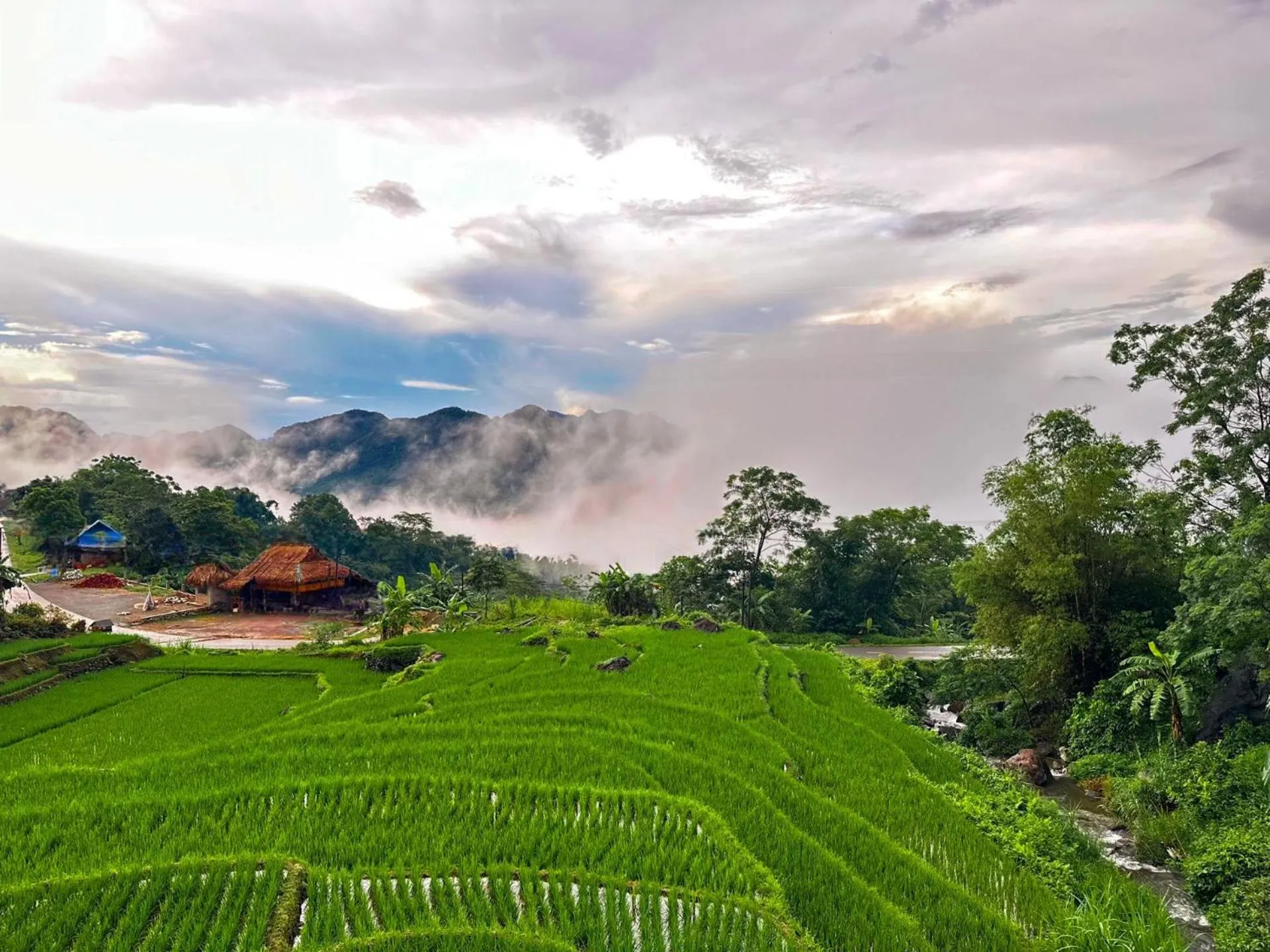 View (from property/room) in Pu Luong Jungle Lodge