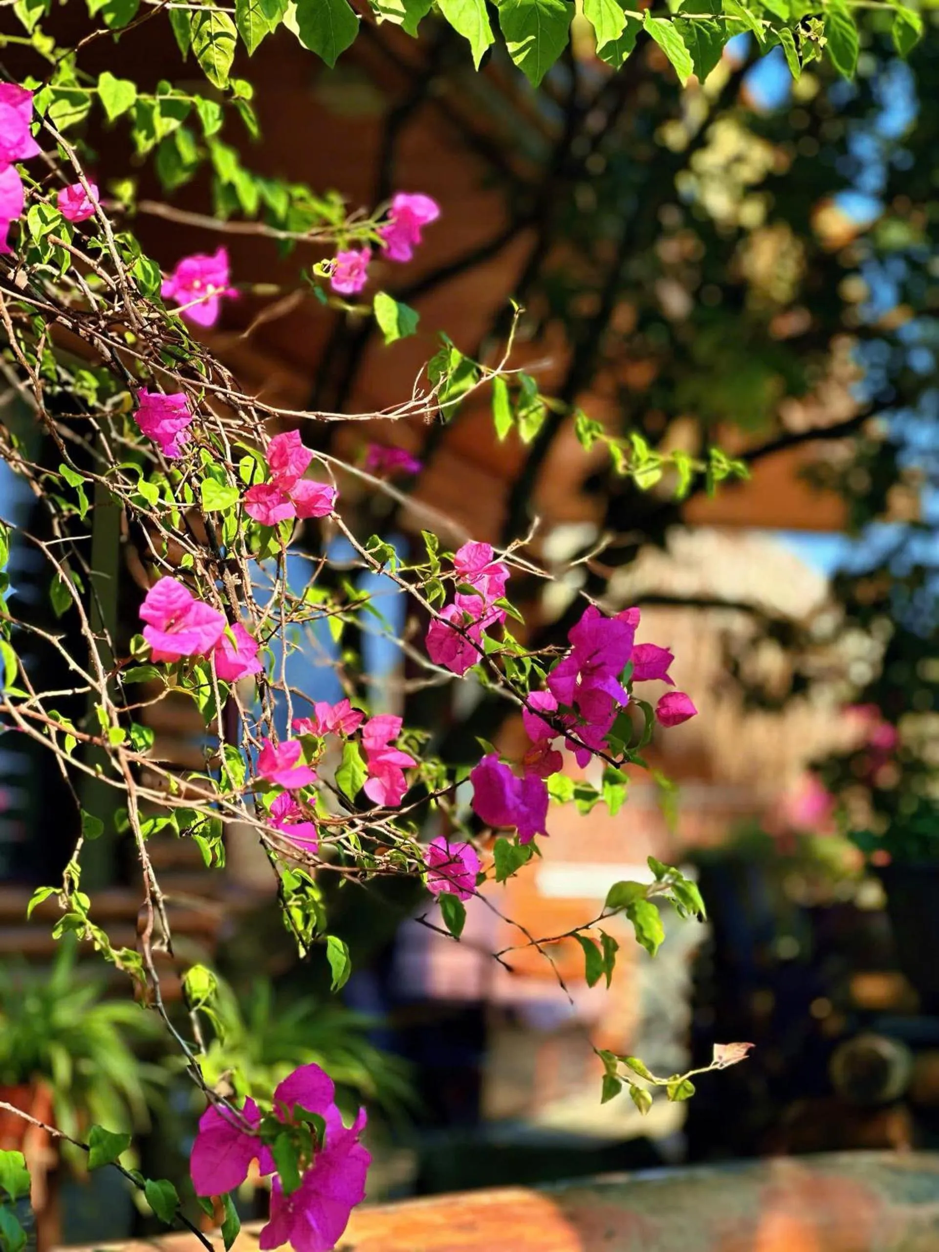 Neighbourhood in Pu Luong Jungle Lodge