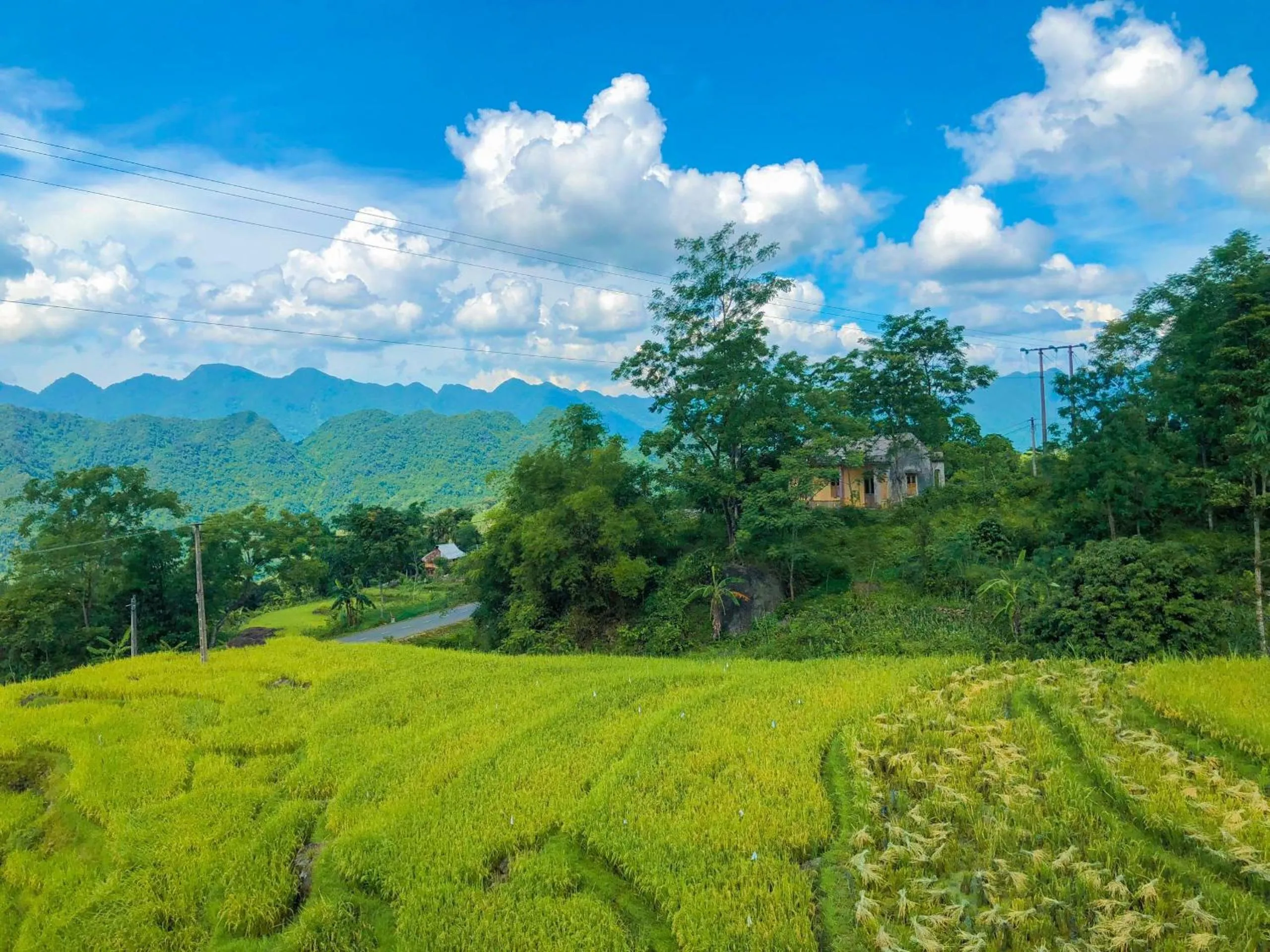 Natural landscape in Pu Luong Jungle Lodge