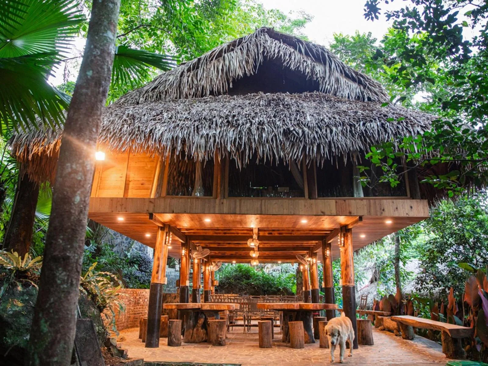 Property building in Pu Luong Jungle Lodge