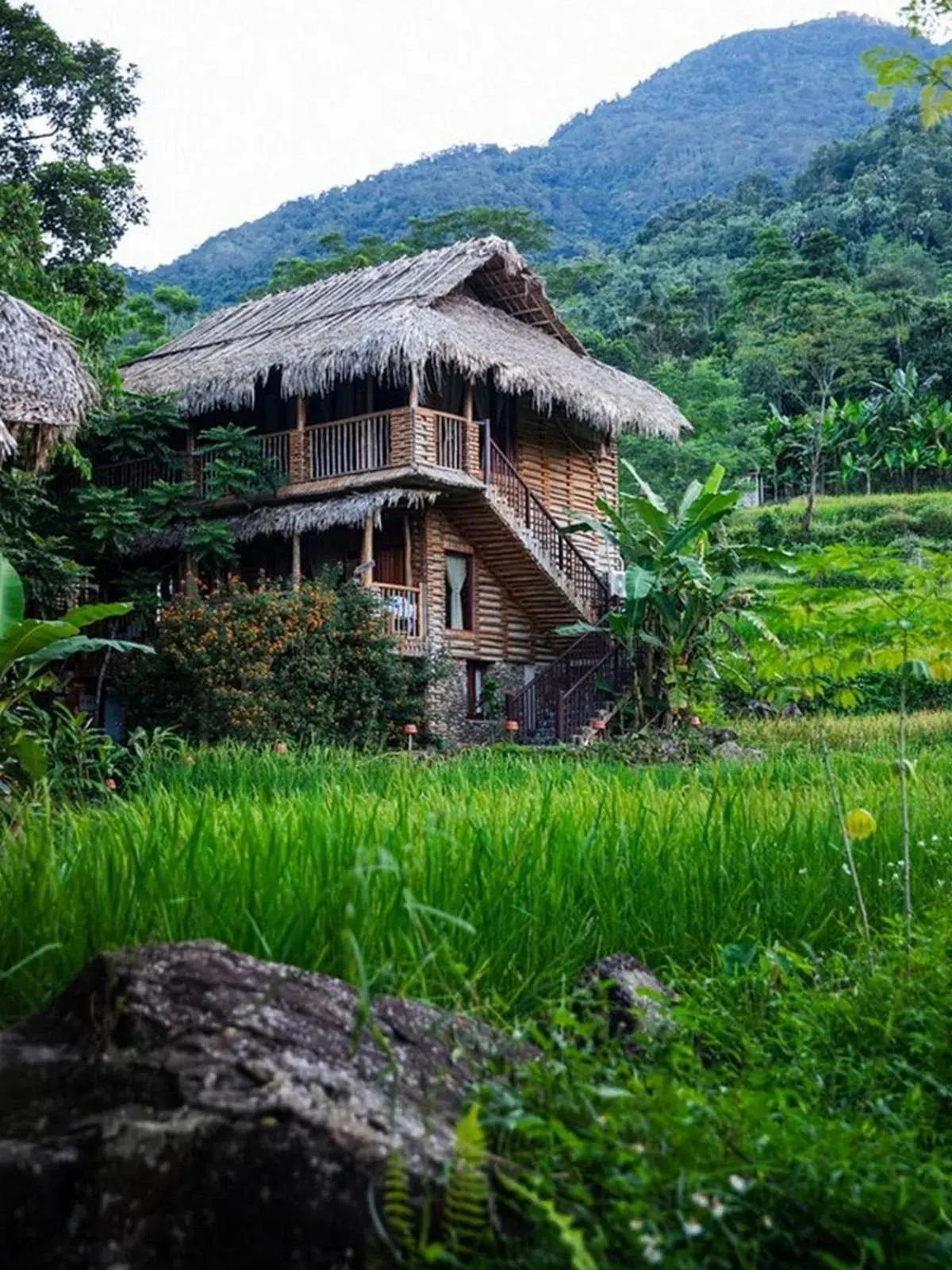 Deluxe Double Room with Garden View – Shuttle Bus from Hanoi Inclusive in Pu Luong Jungle Lodge Deluxe Double Room with Garden View – Shuttle Bus from Hanoi Inclusive in Pu Luong Jungle Lodge