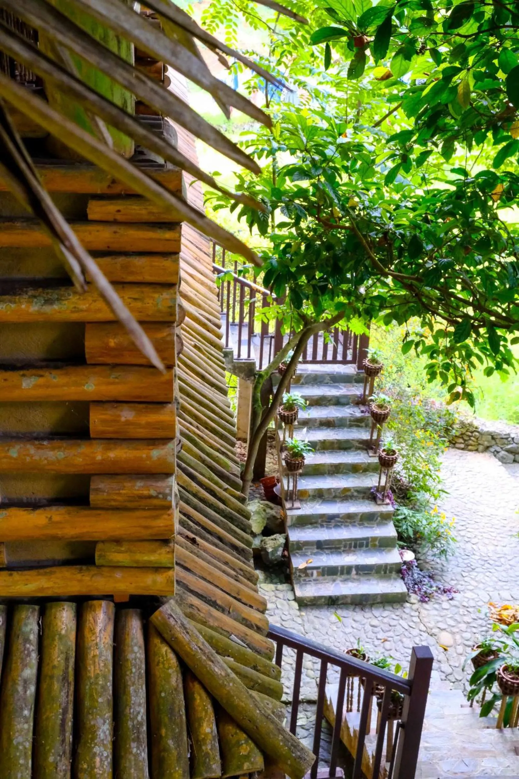Guests in Pu Luong Jungle Lodge