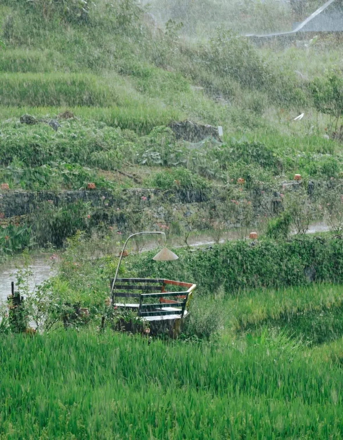 Natural landscape in Pu Luong Jungle Lodge