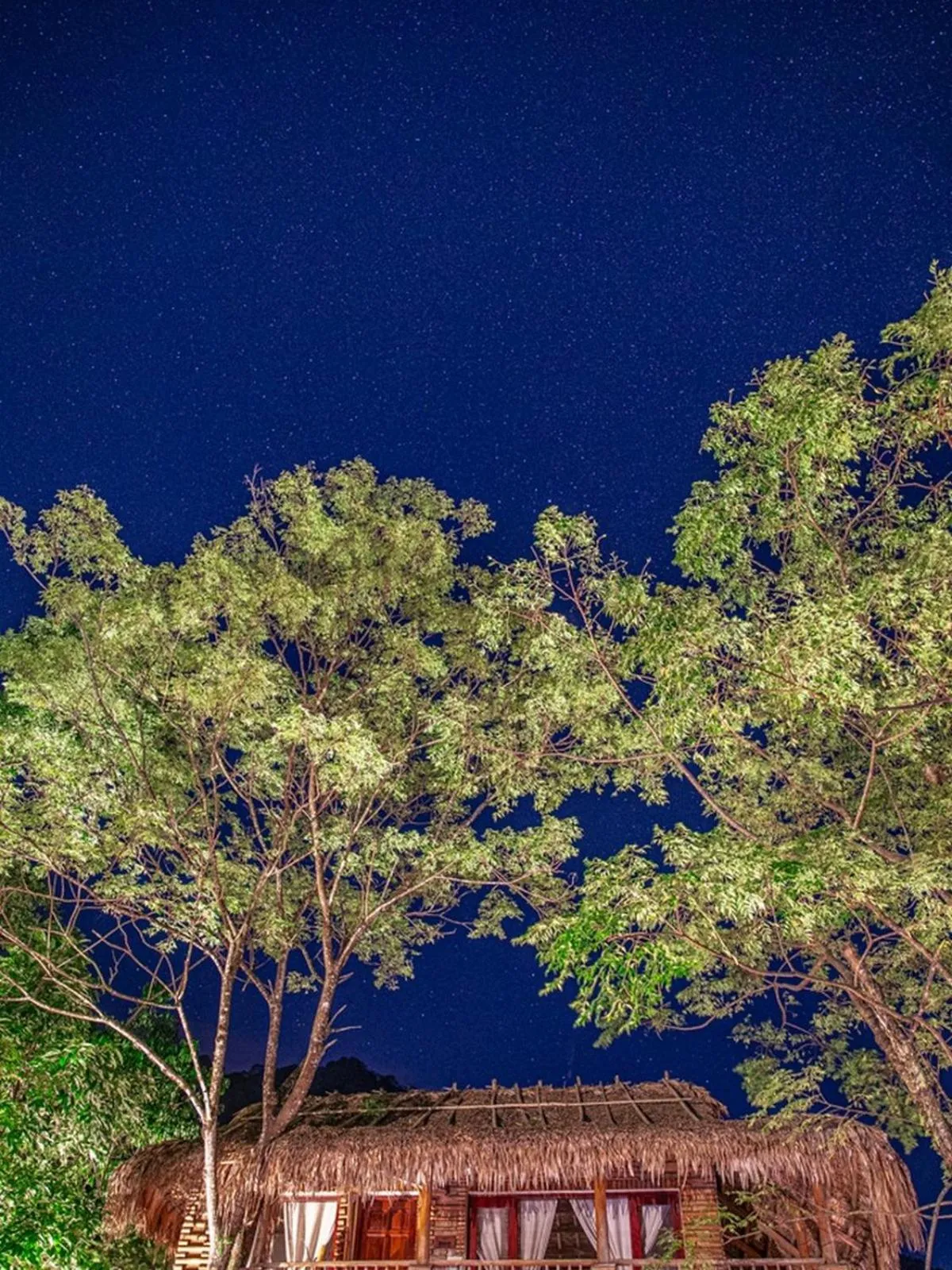 Property building in Pu Luong Jungle Lodge