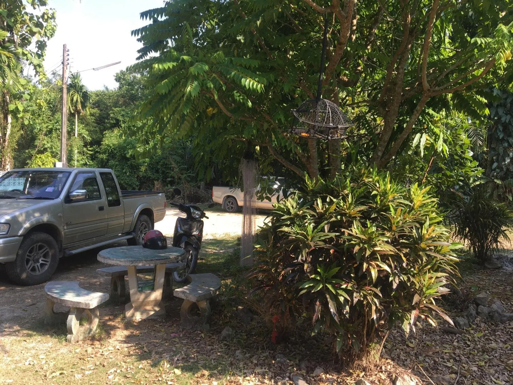 Garden view in AP Hotel