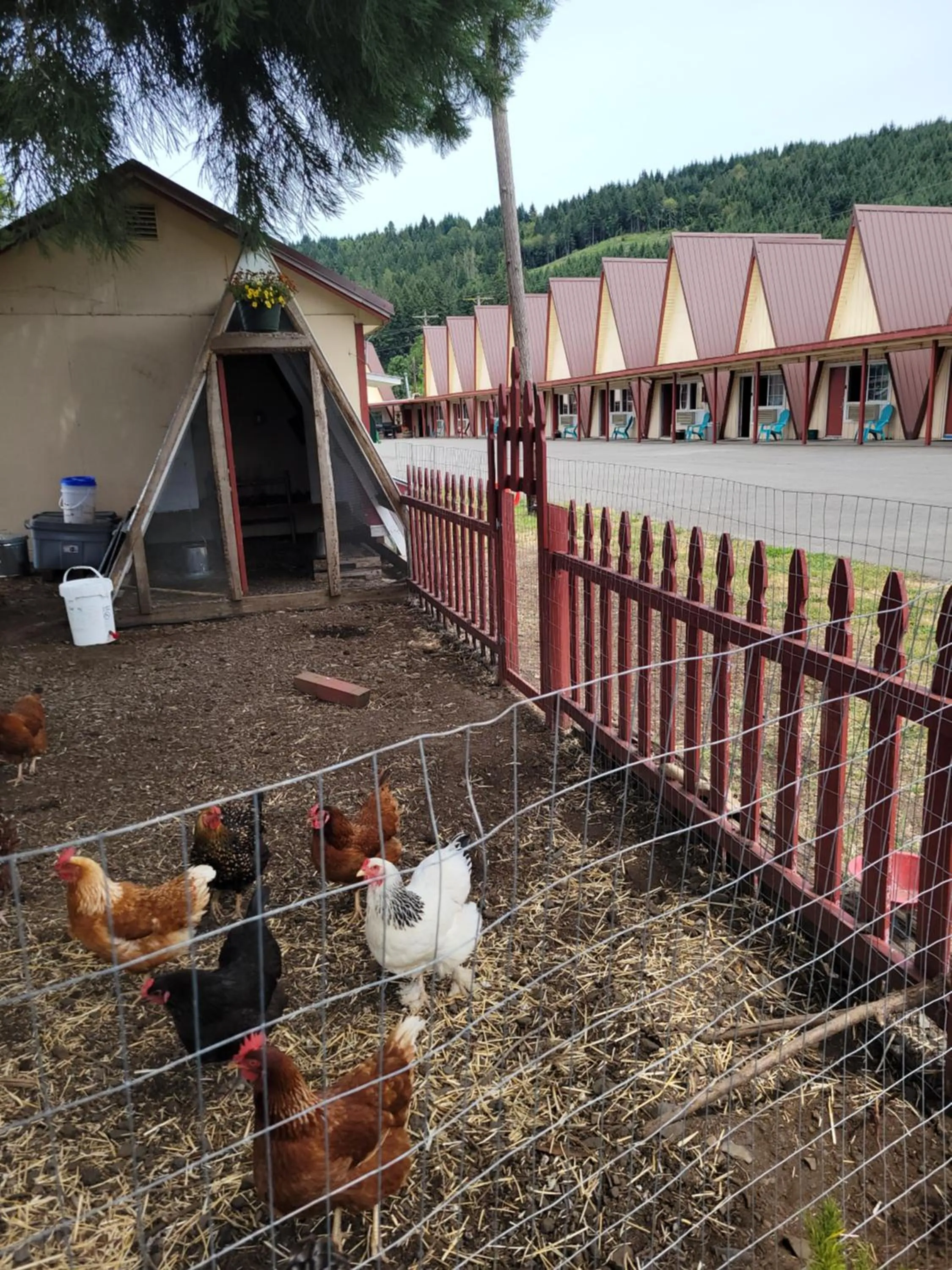 Property building in The Ranch Motel