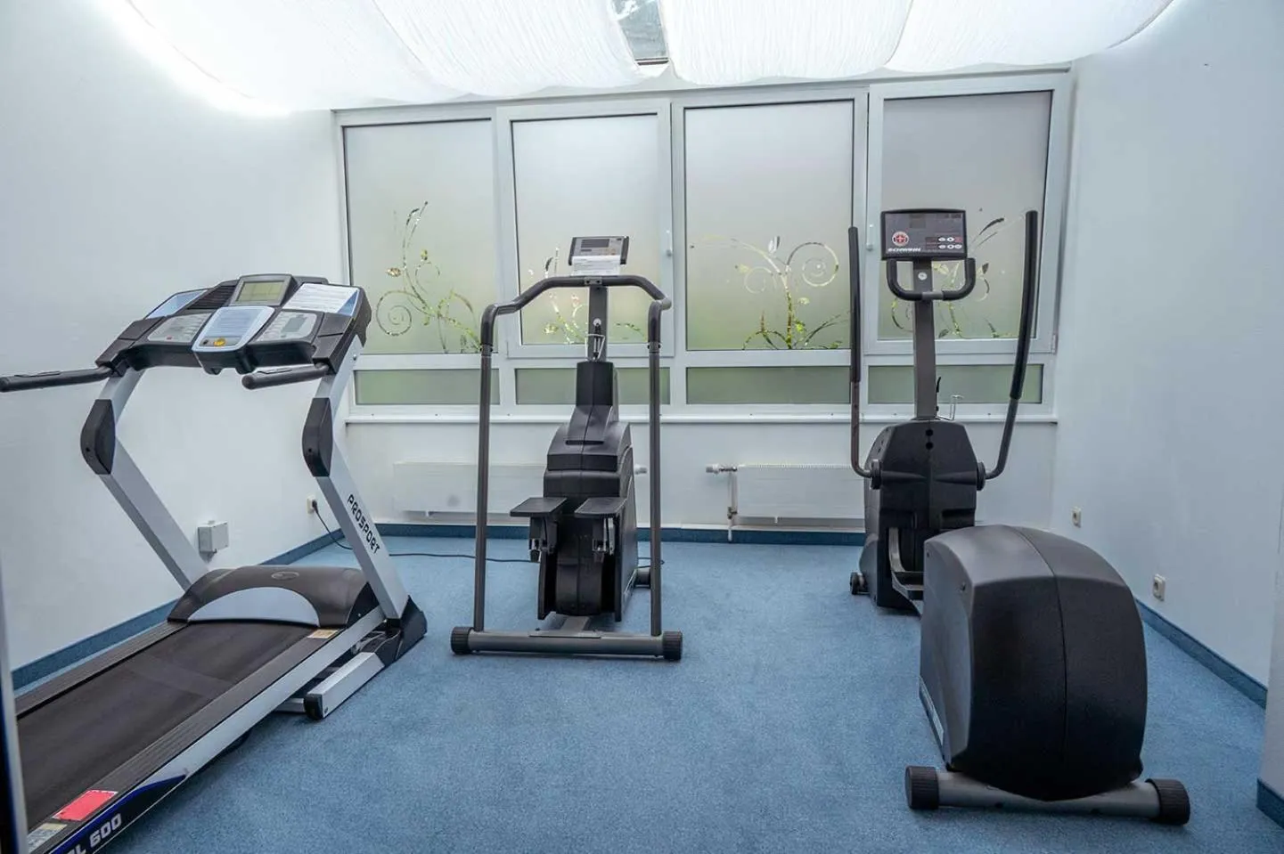 Fitness centre/facilities in Waldhotel Schäferberg
