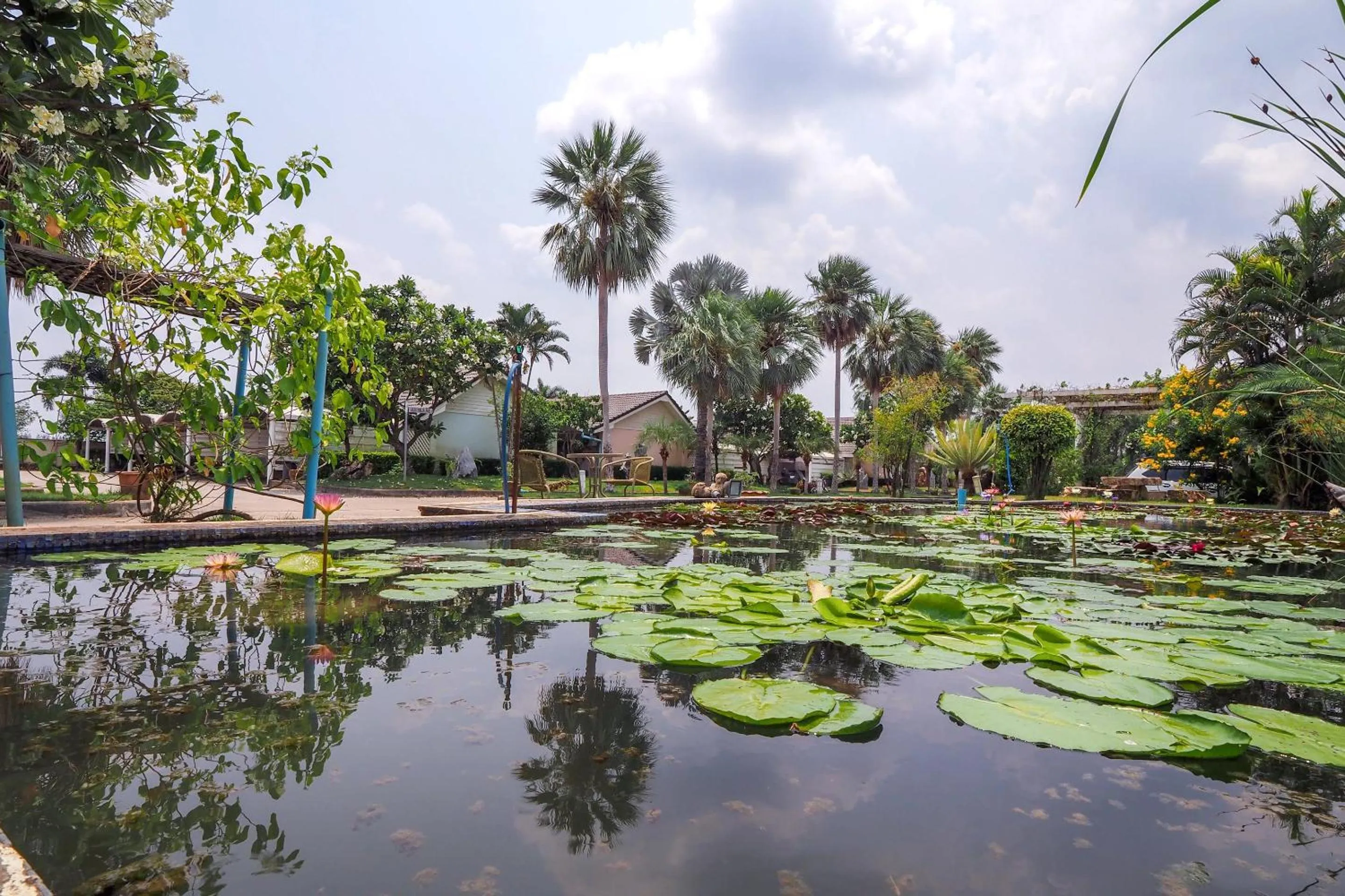 Other in OYO 926 Sydney Resort