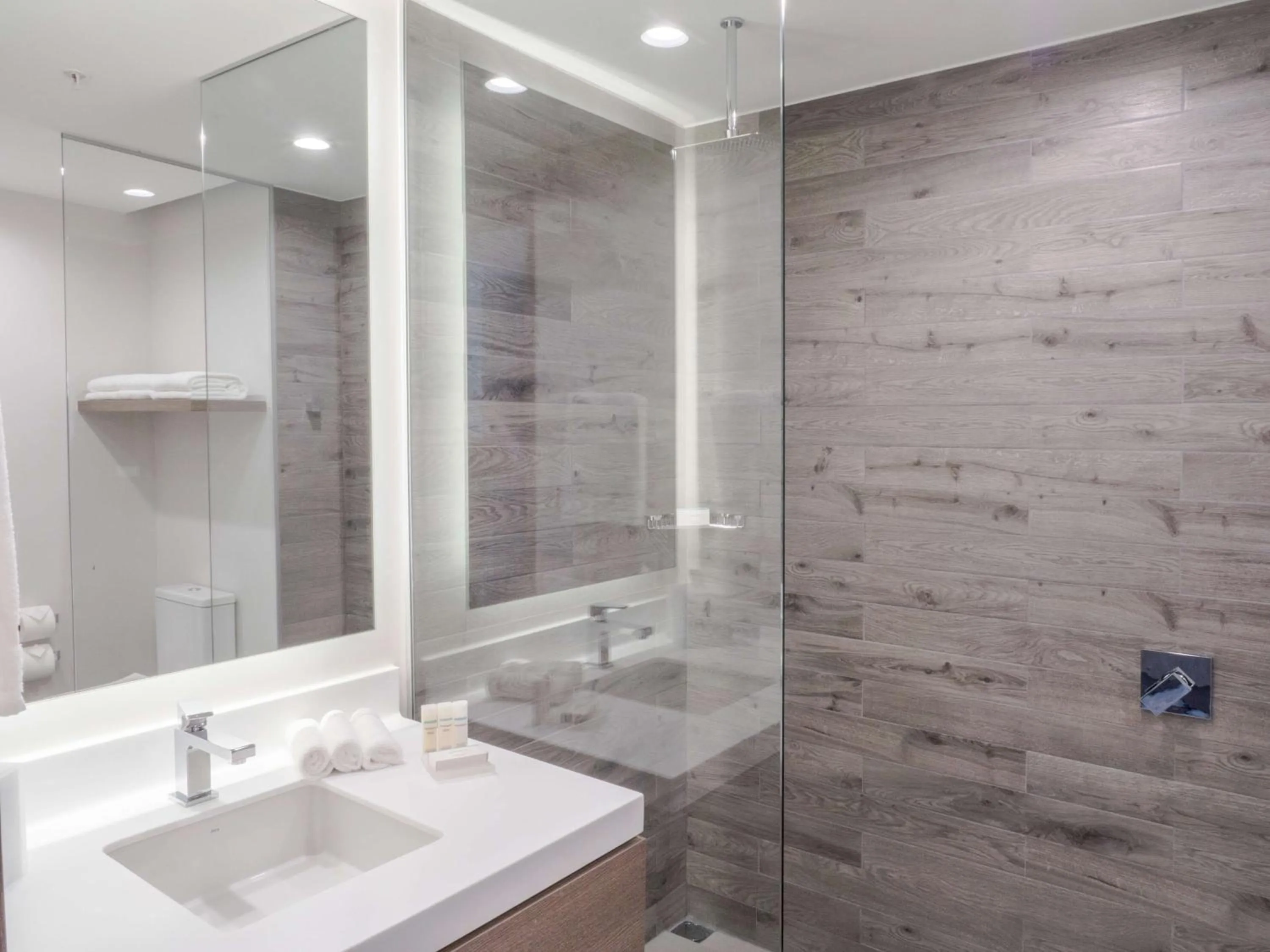 Bathroom in Hilton Garden Inn Santa Ana, San Jose