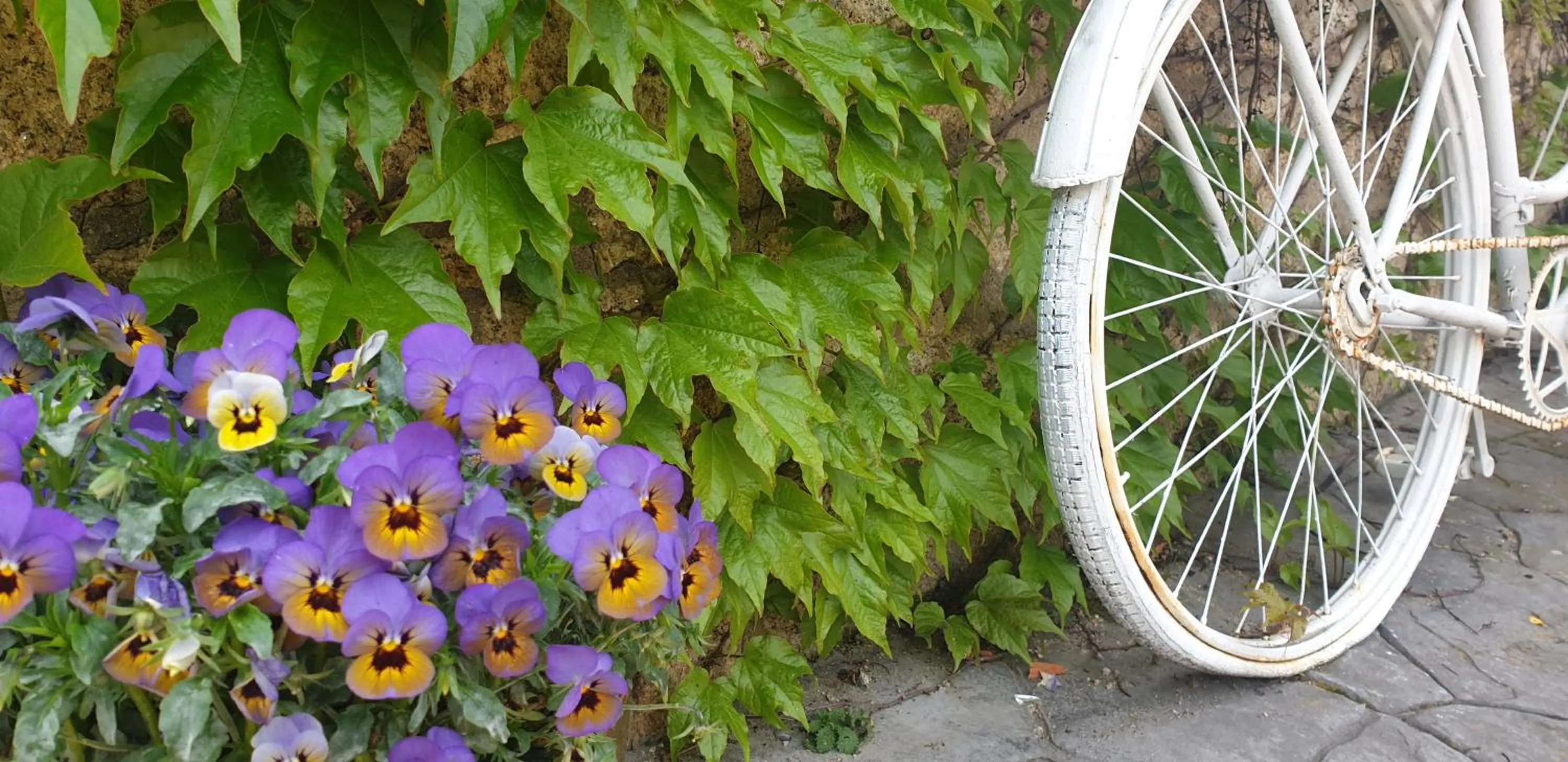 Garden in HOTEL RURAL A VELHA FABRICA