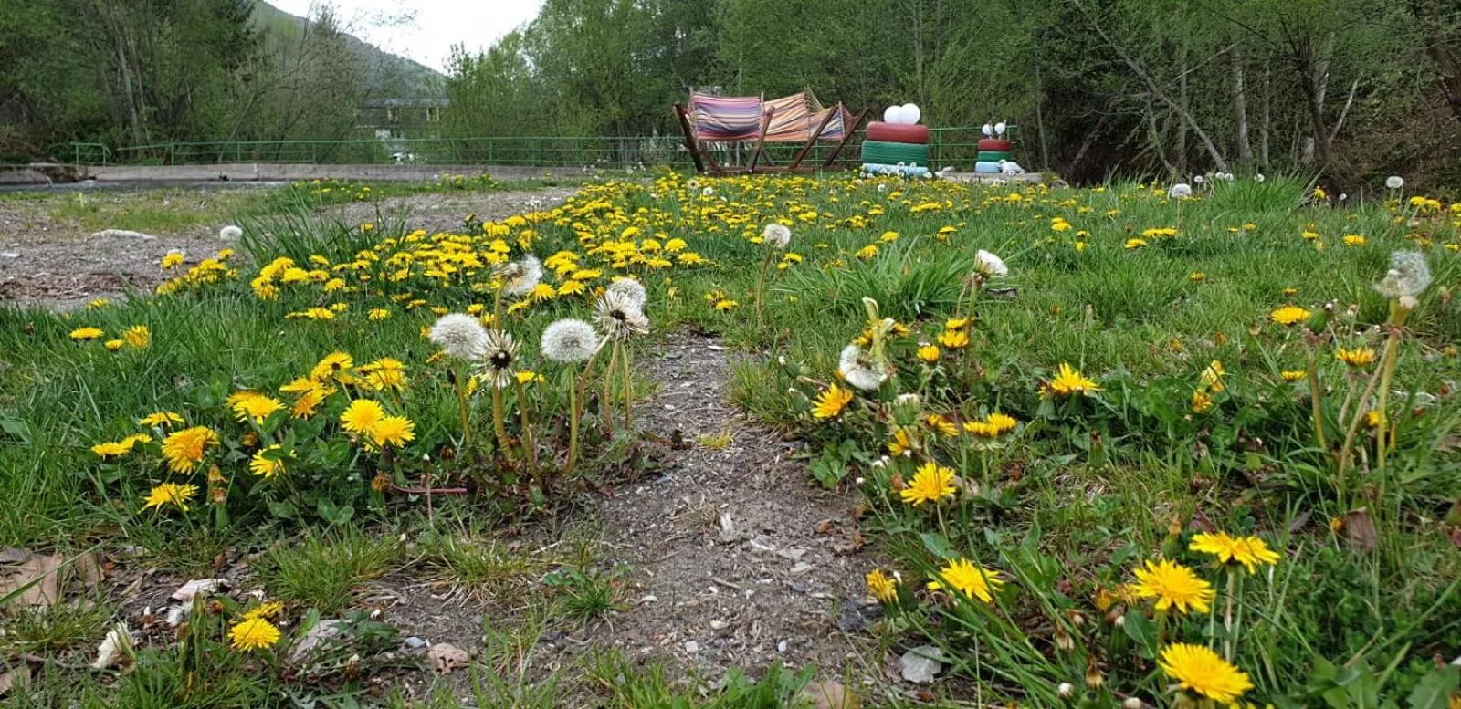 Natural landscape in HOTEL HO2 POIANA MARULUI