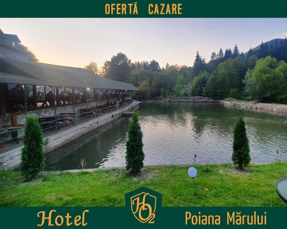 Balcony/Terrace in HOTEL HO2 POIANA MARULUI