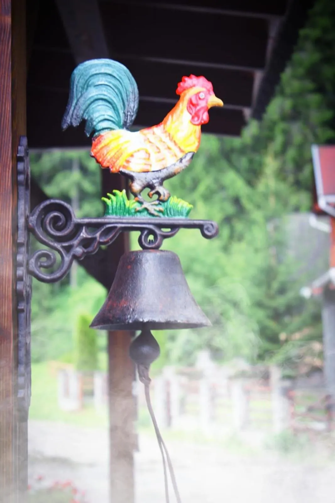 Decorative detail in HOTEL HO2 POIANA MARULUI