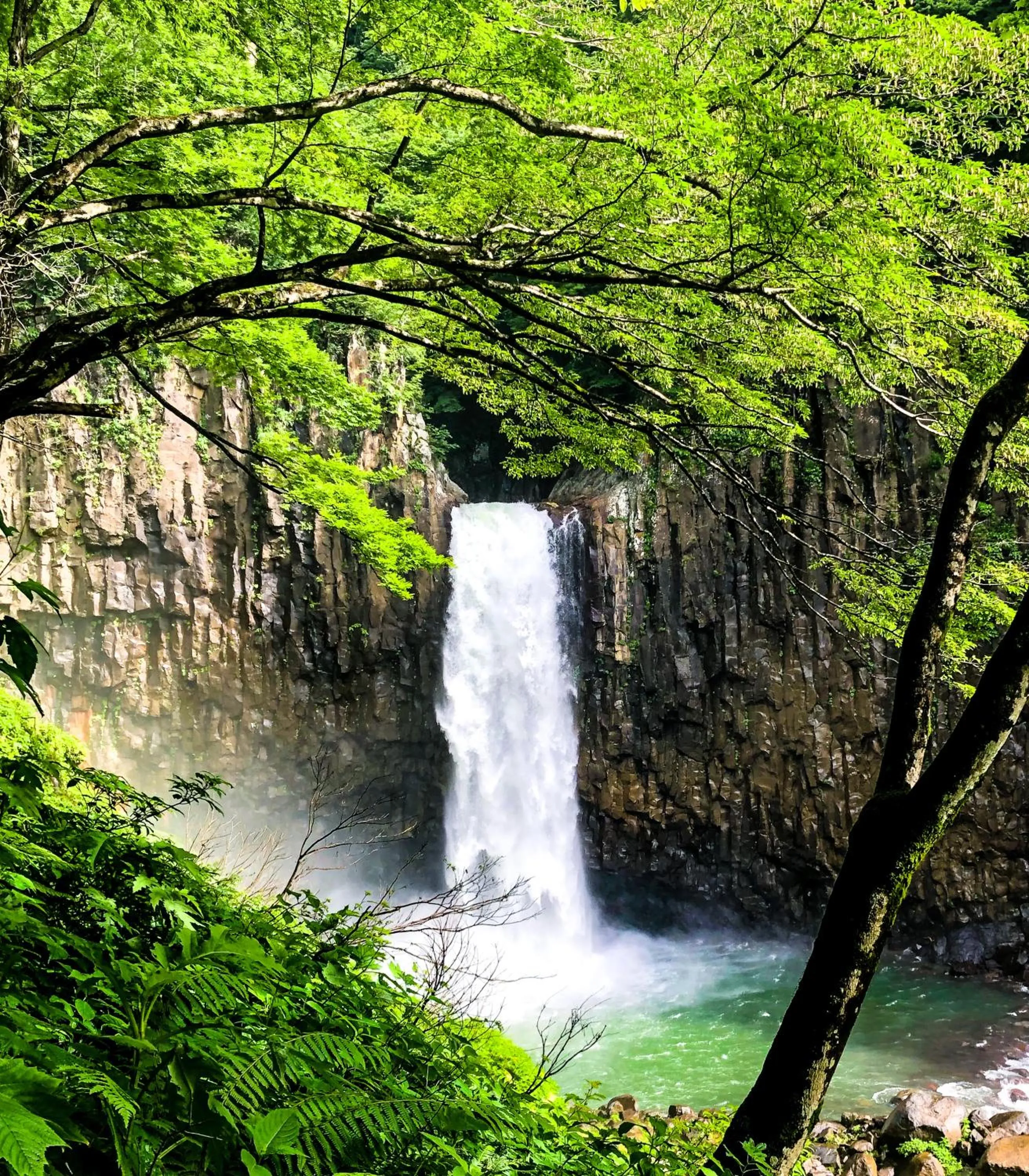 Nearby landmark in Red Fox Lodge Myoko