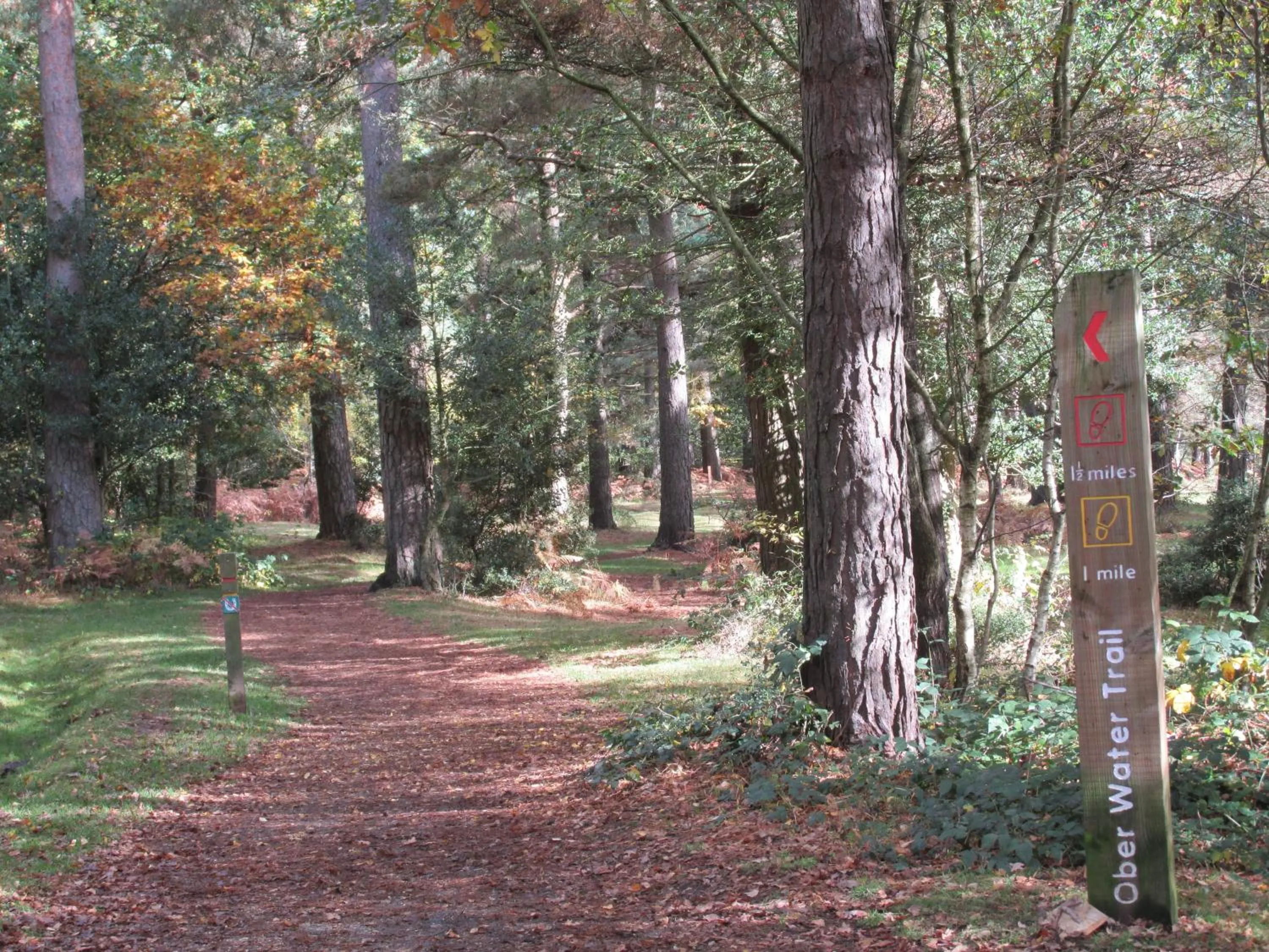 Area and facilities in Albertine