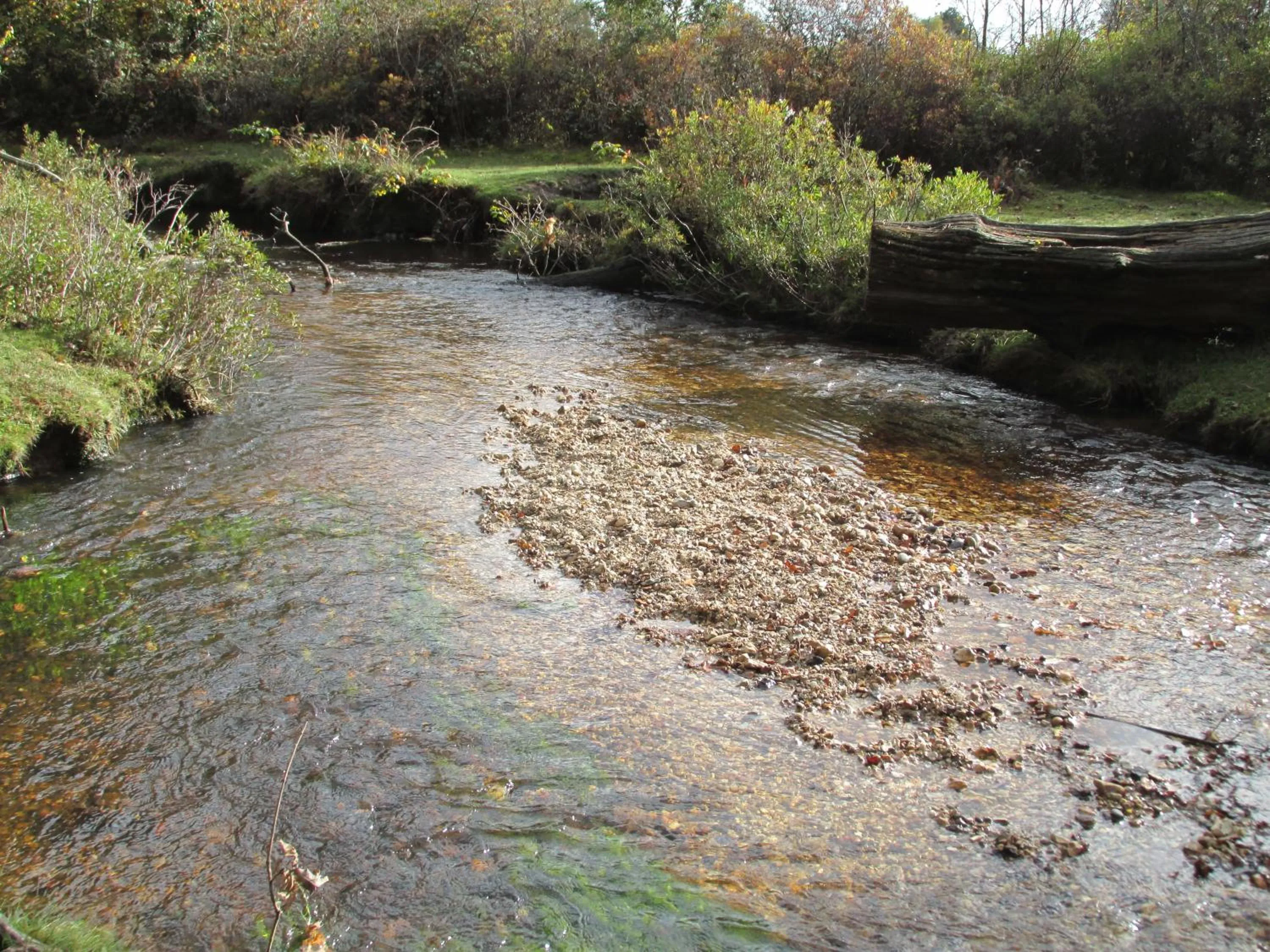 Area and facilities in Albertine
