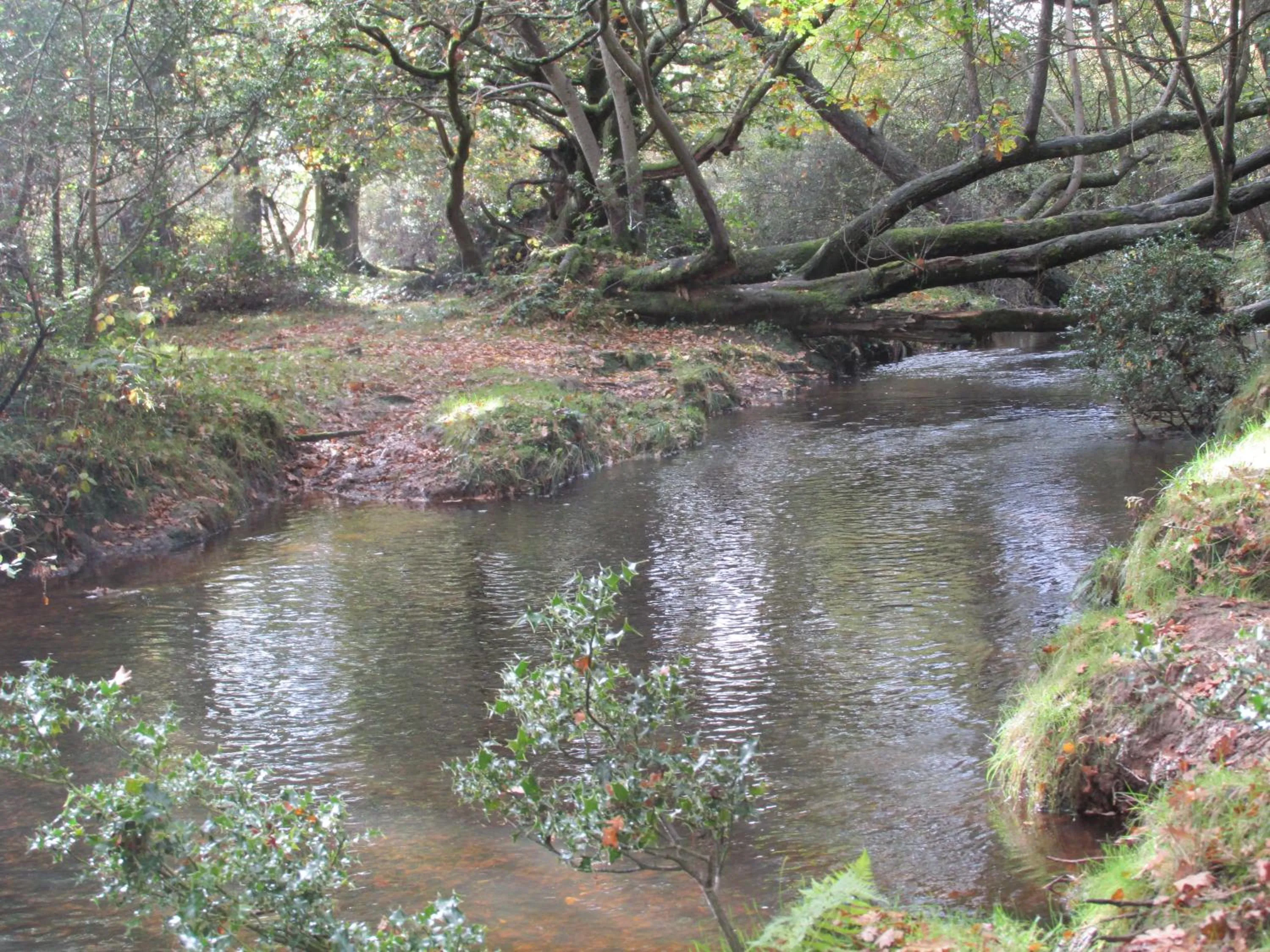 Area and facilities in Albertine