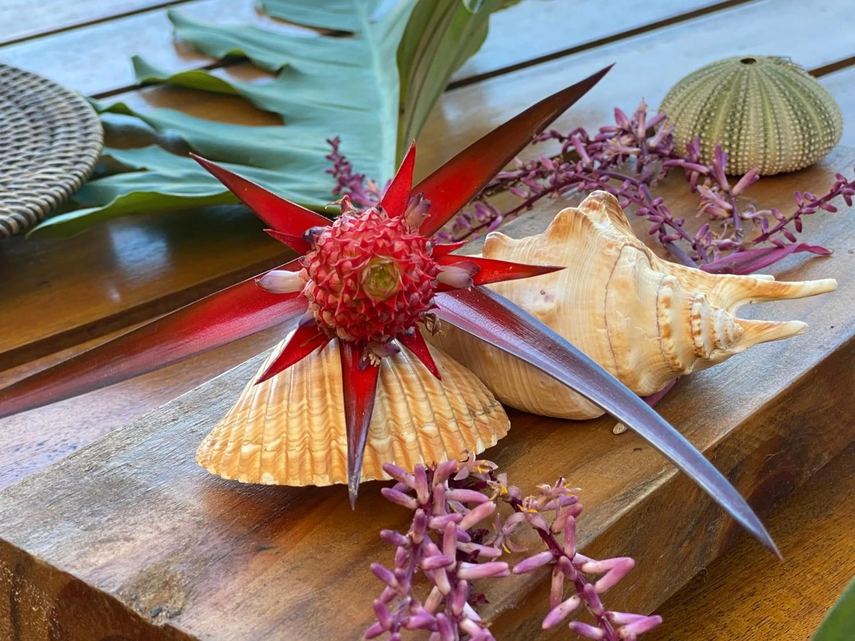 Seating area in Carapitangui Pousada