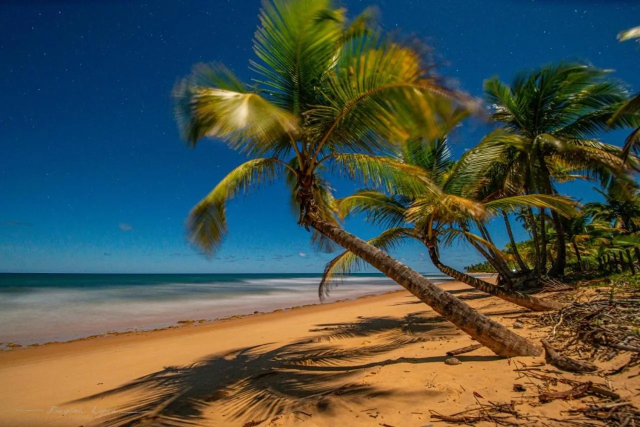 Beach in Carapitangui Pousada
