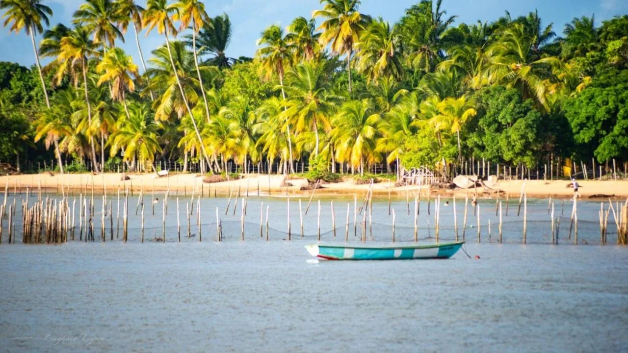 Natural landscape in Carapitangui Pousada