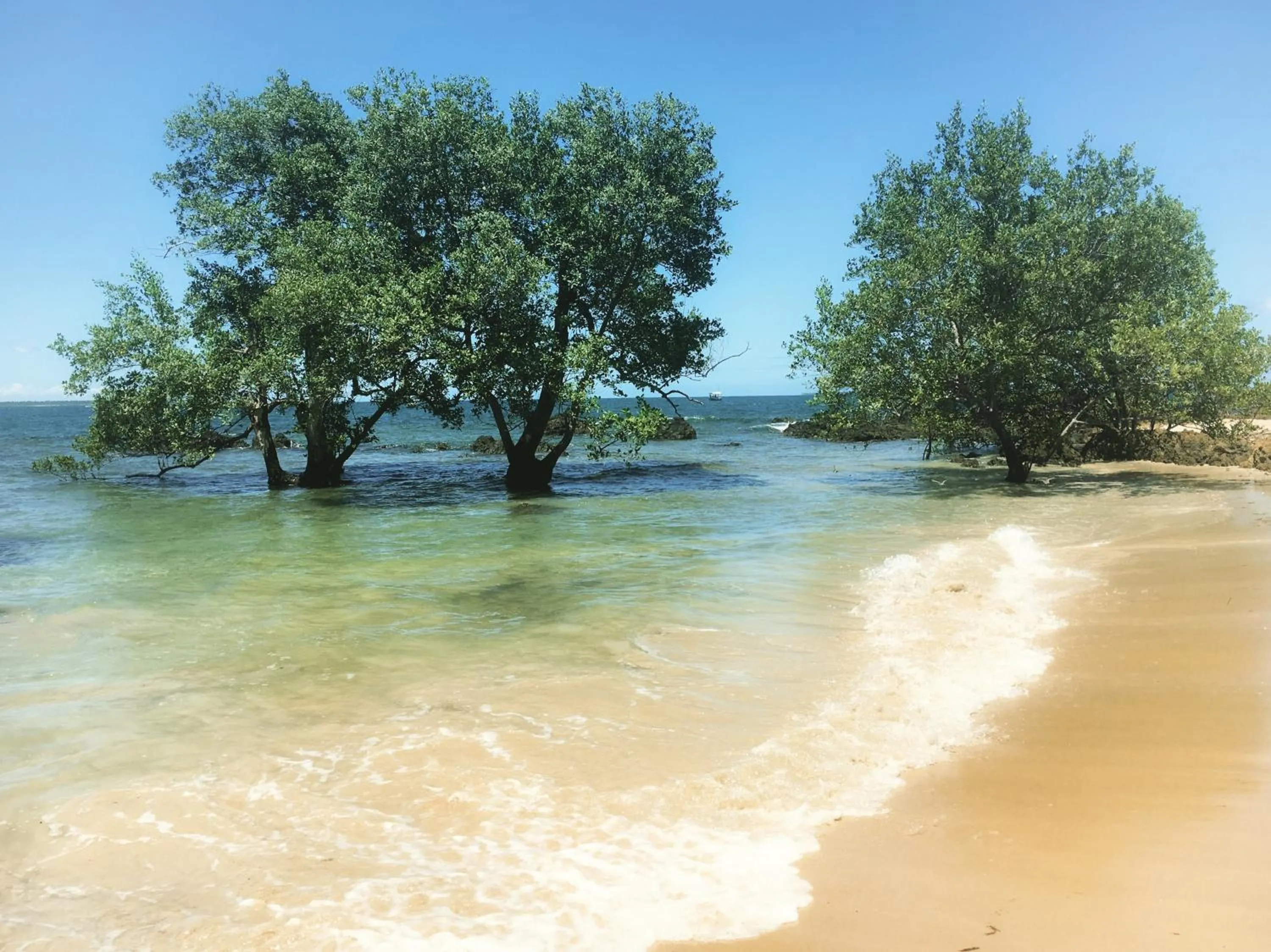 Natural landscape in Carapitangui Pousada