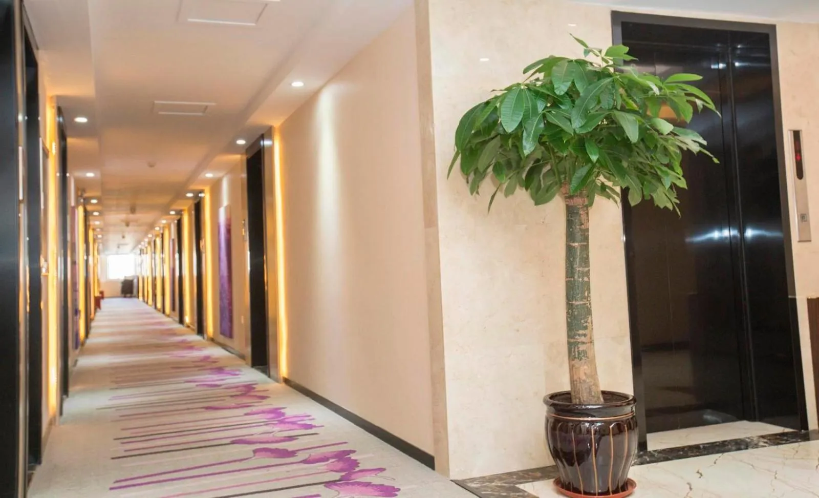 Lavande Hotels·Dalian Xinghai Park