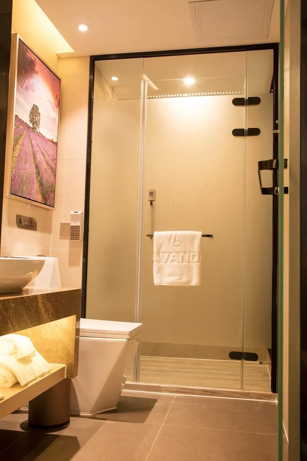 Lavande Hotels·Shenzhen North Railway Station Bantian Metro Station