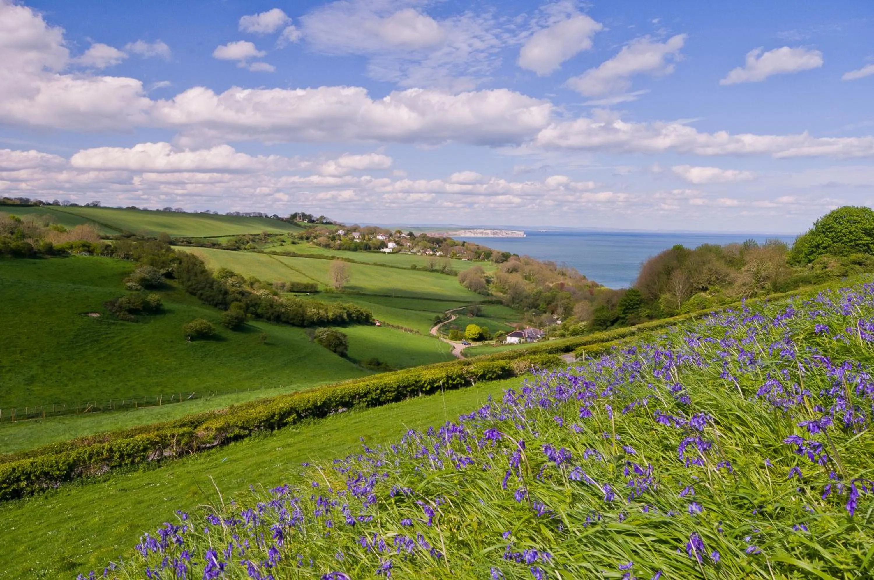Natural landscape in St Helens Coastal Resort