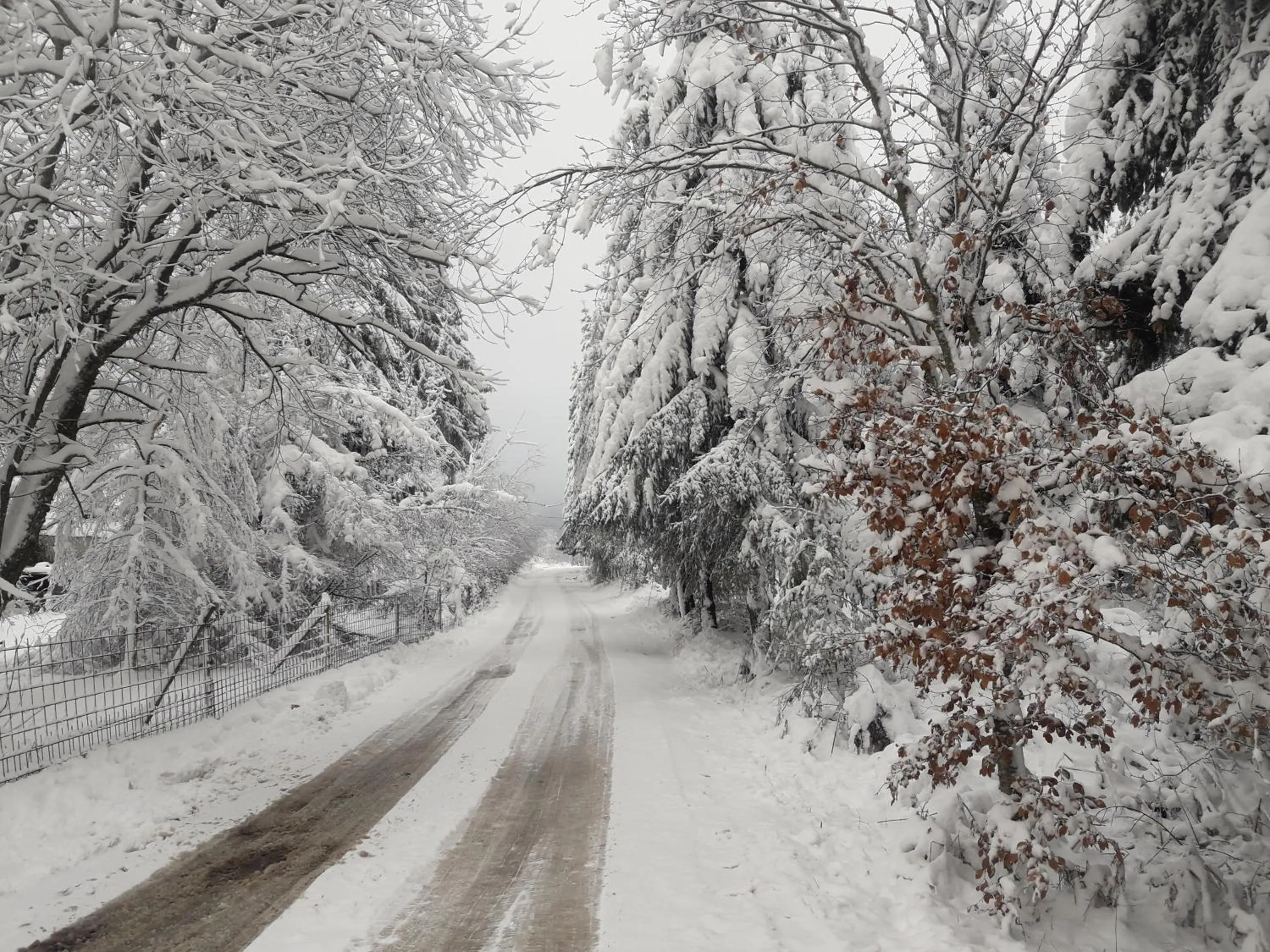 Winter in La Vie en Rose hotel