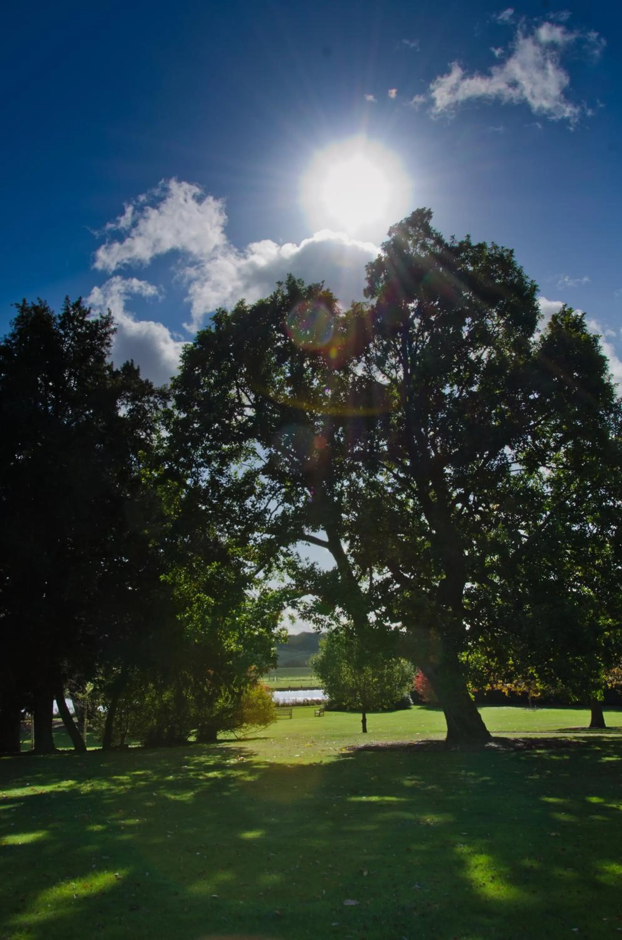 Day in Greenlands Hotel