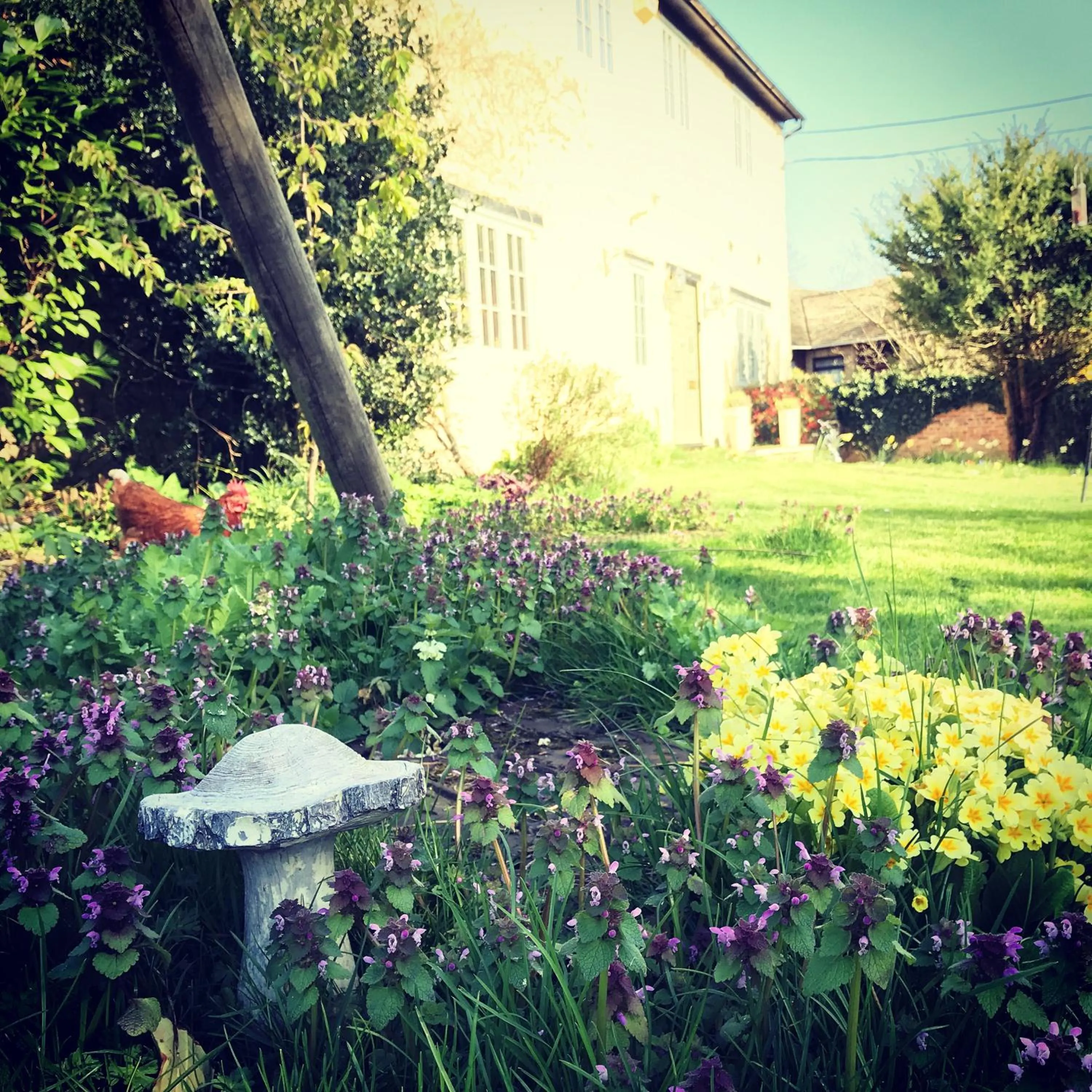 Garden view in Home Farm Bed & Breakfast