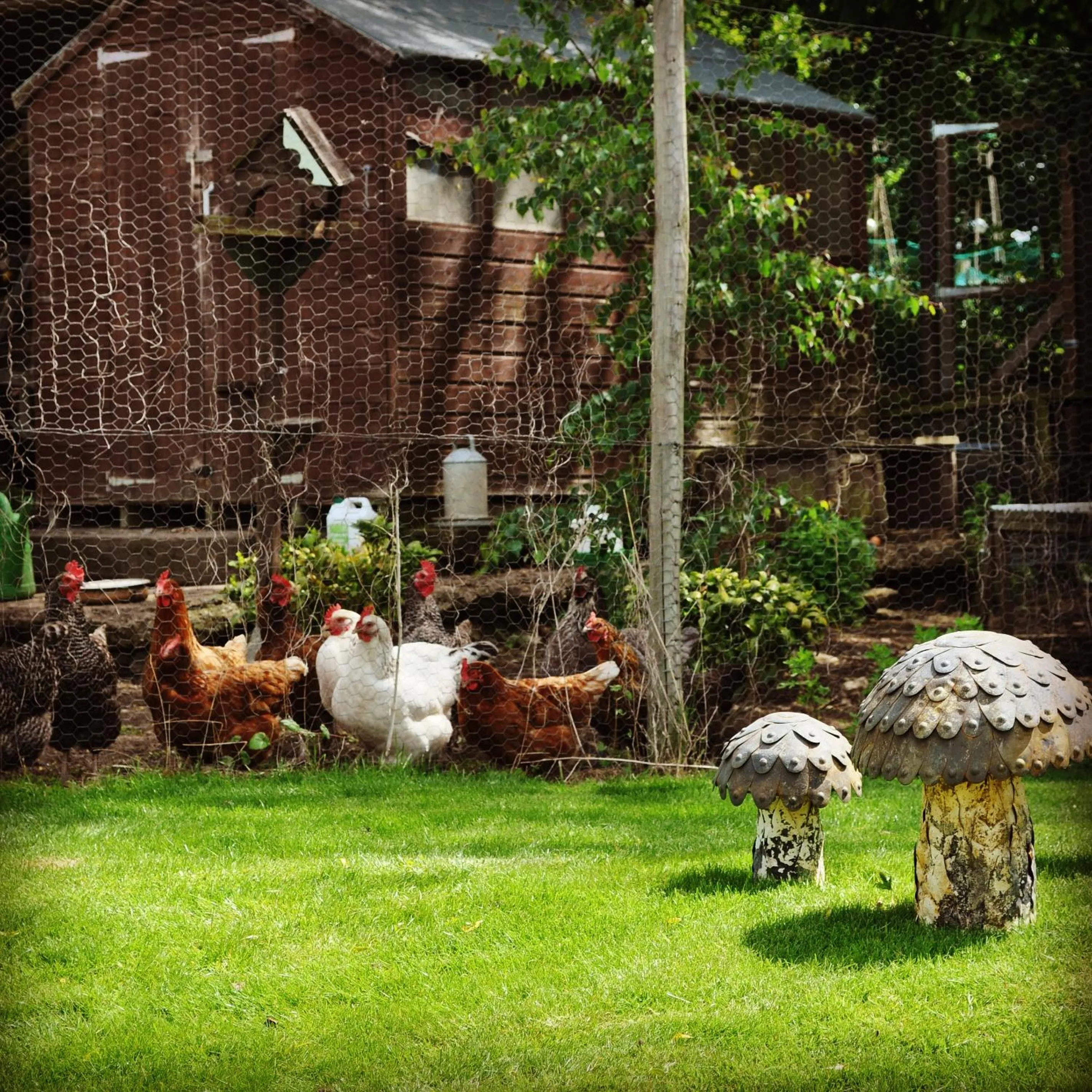 Home Farm Bed & Breakfast