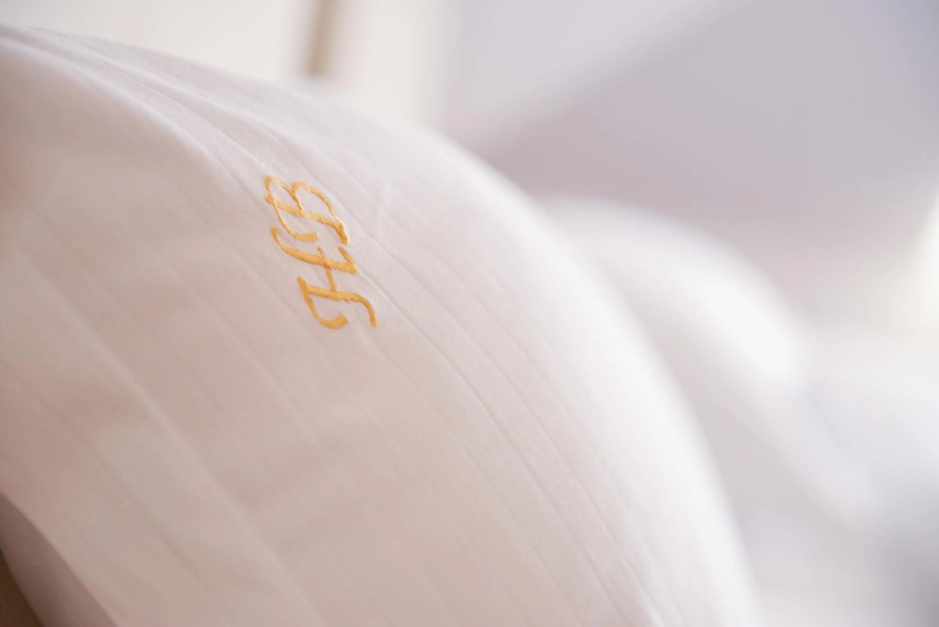 Decorative detail in Hotel Bulevard Predeal