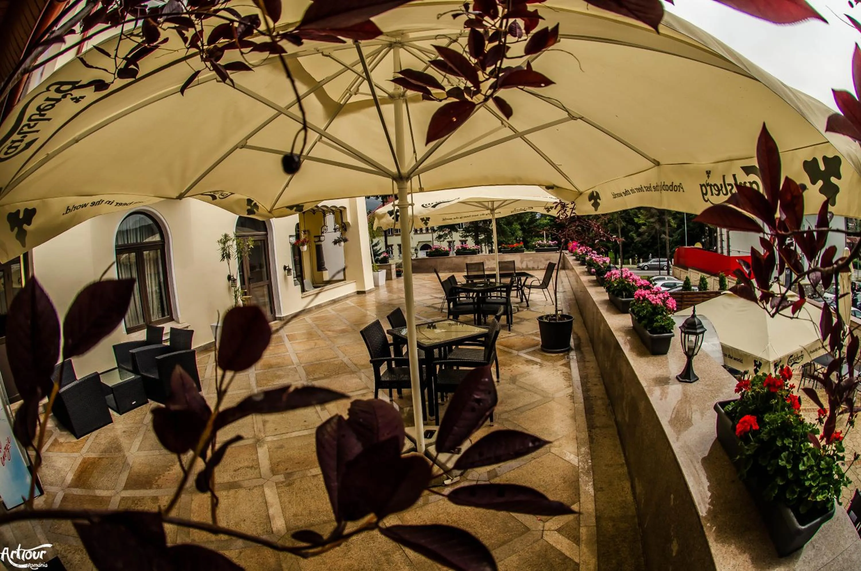 Garden in Hotel Bulevard Predeal