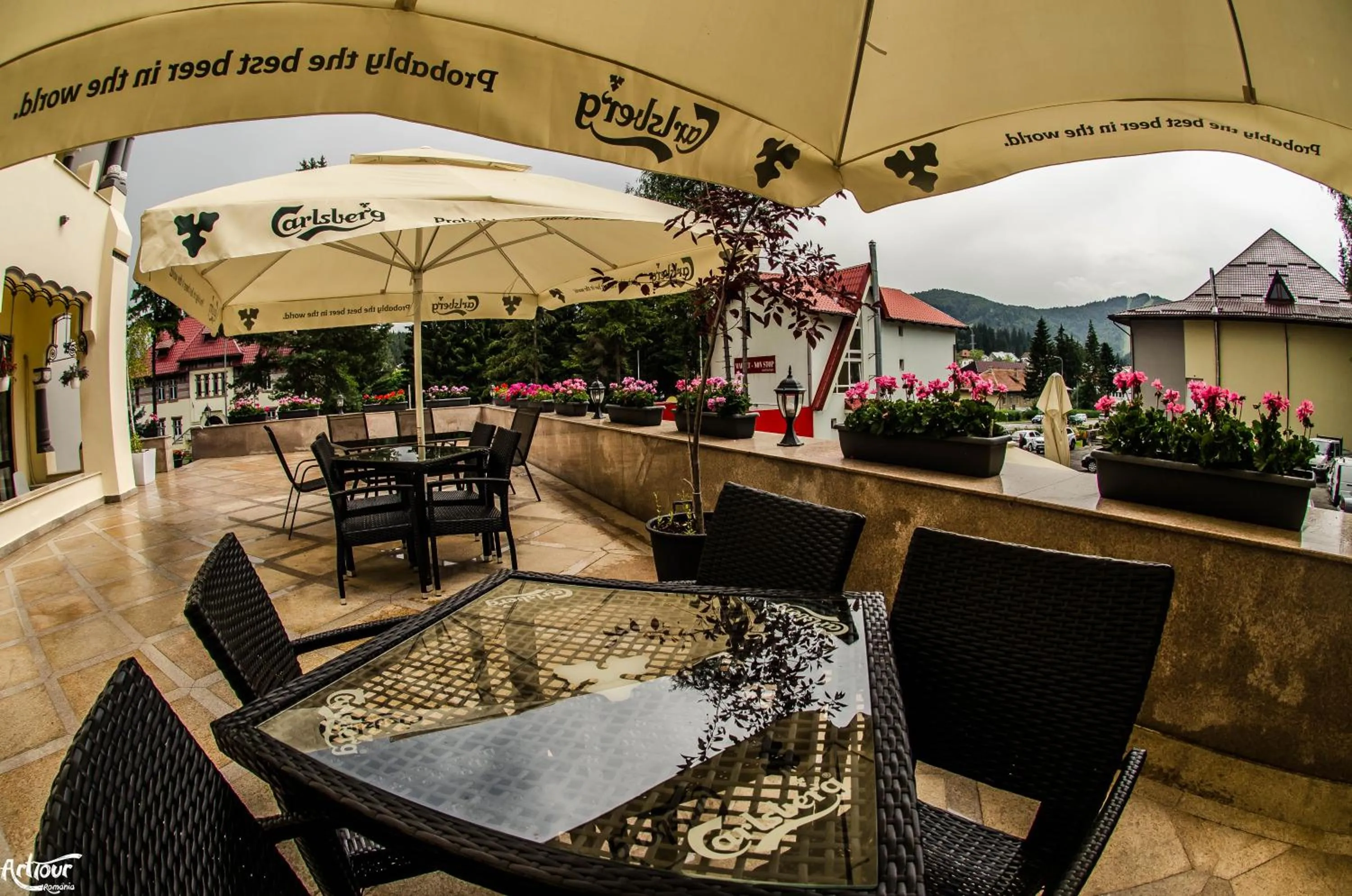 Garden in Hotel Bulevard Predeal