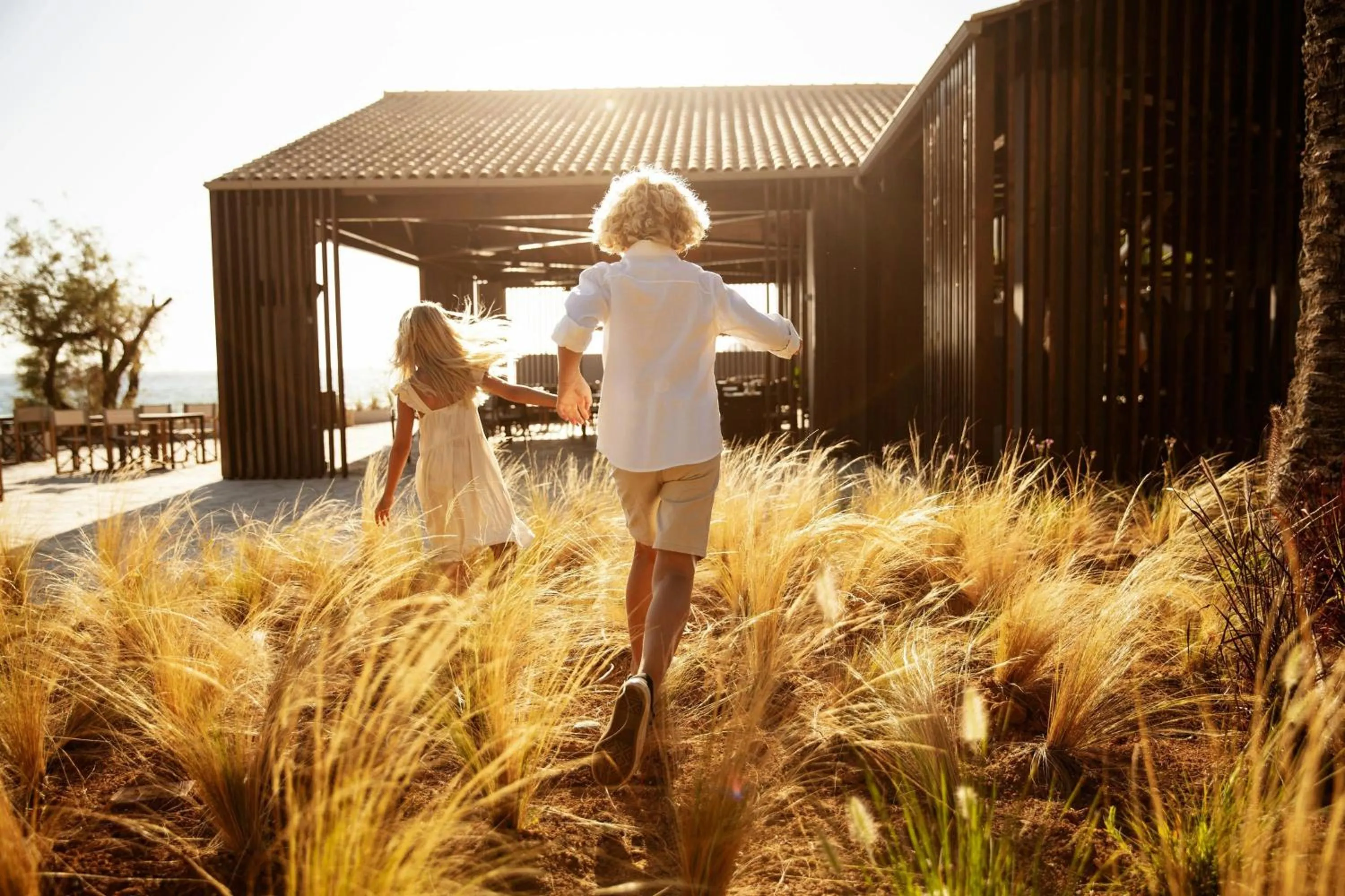 Other in Domes of Corfu, Autograph Collection