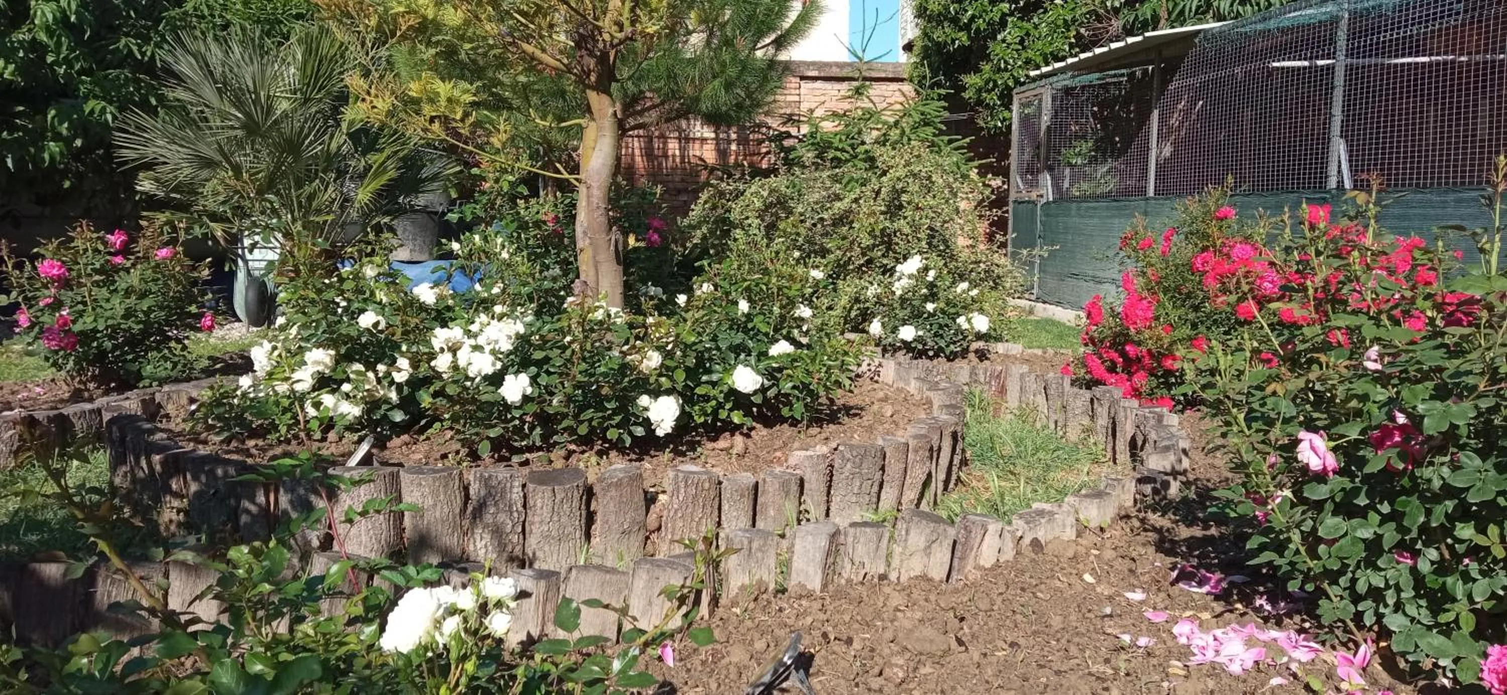 Garden in Ad Astra Rooms