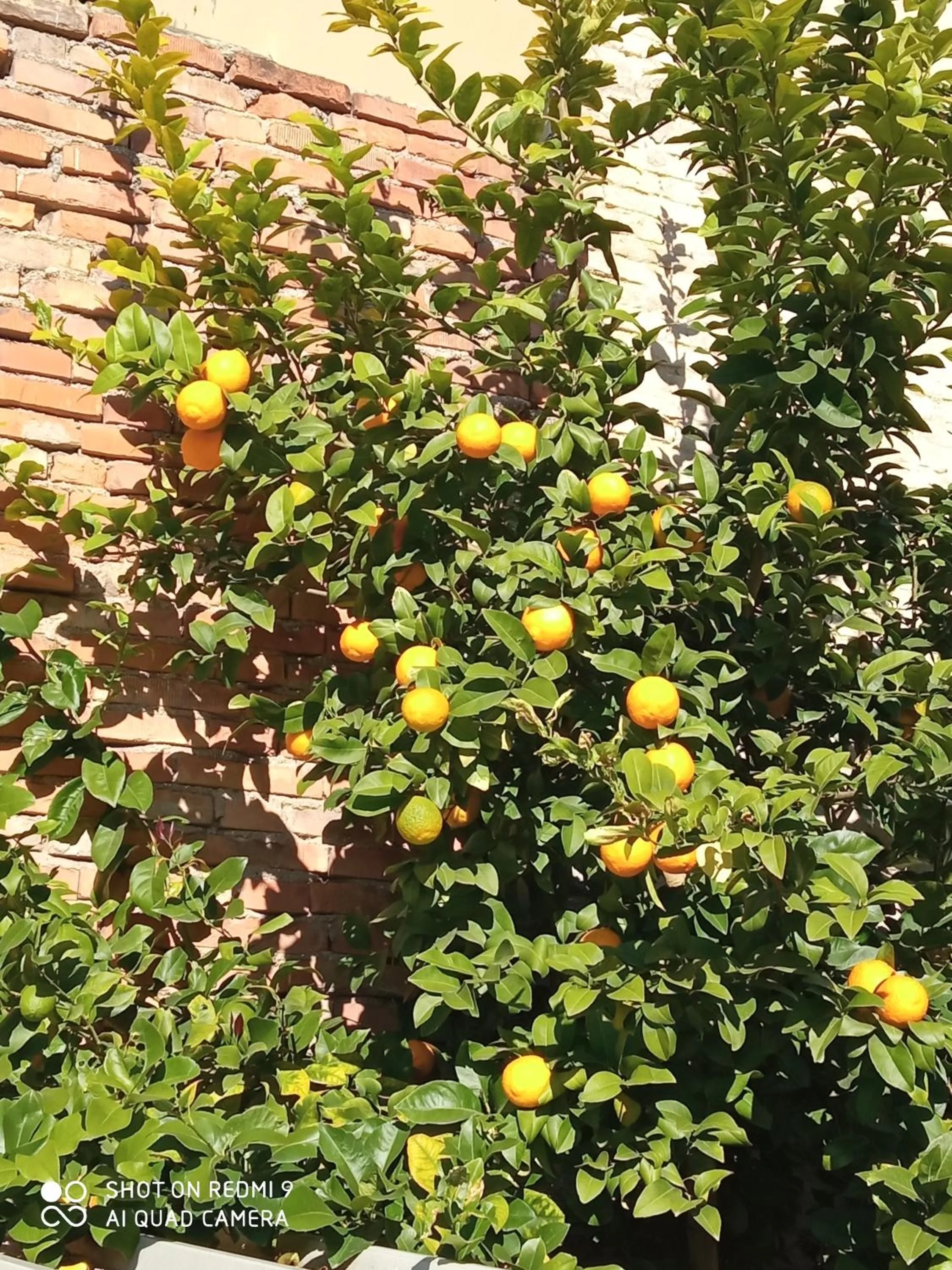 Property building in Ad Astra Rooms