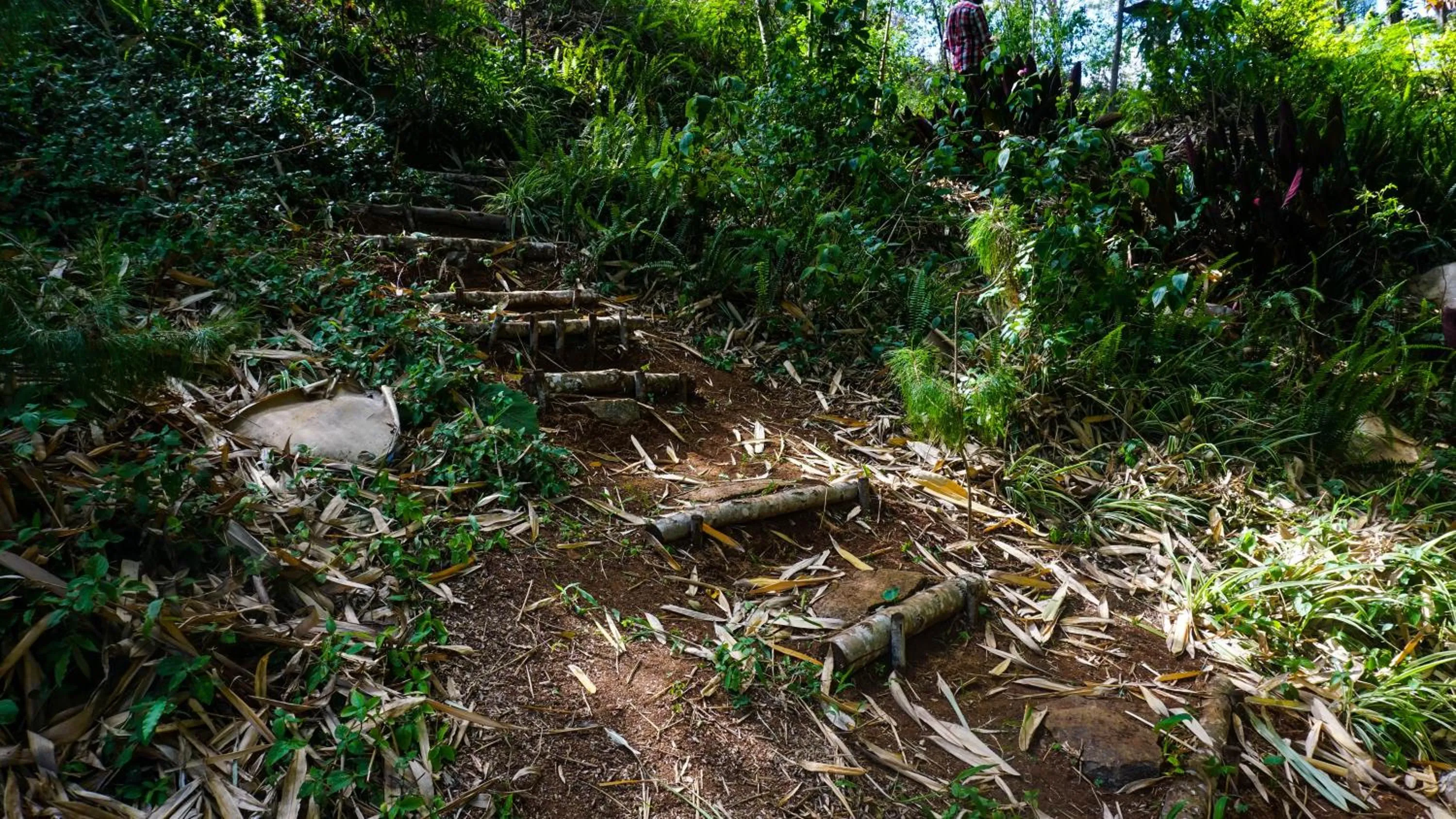 Hiking in LUSHOTO EXECUTIVE LODGE