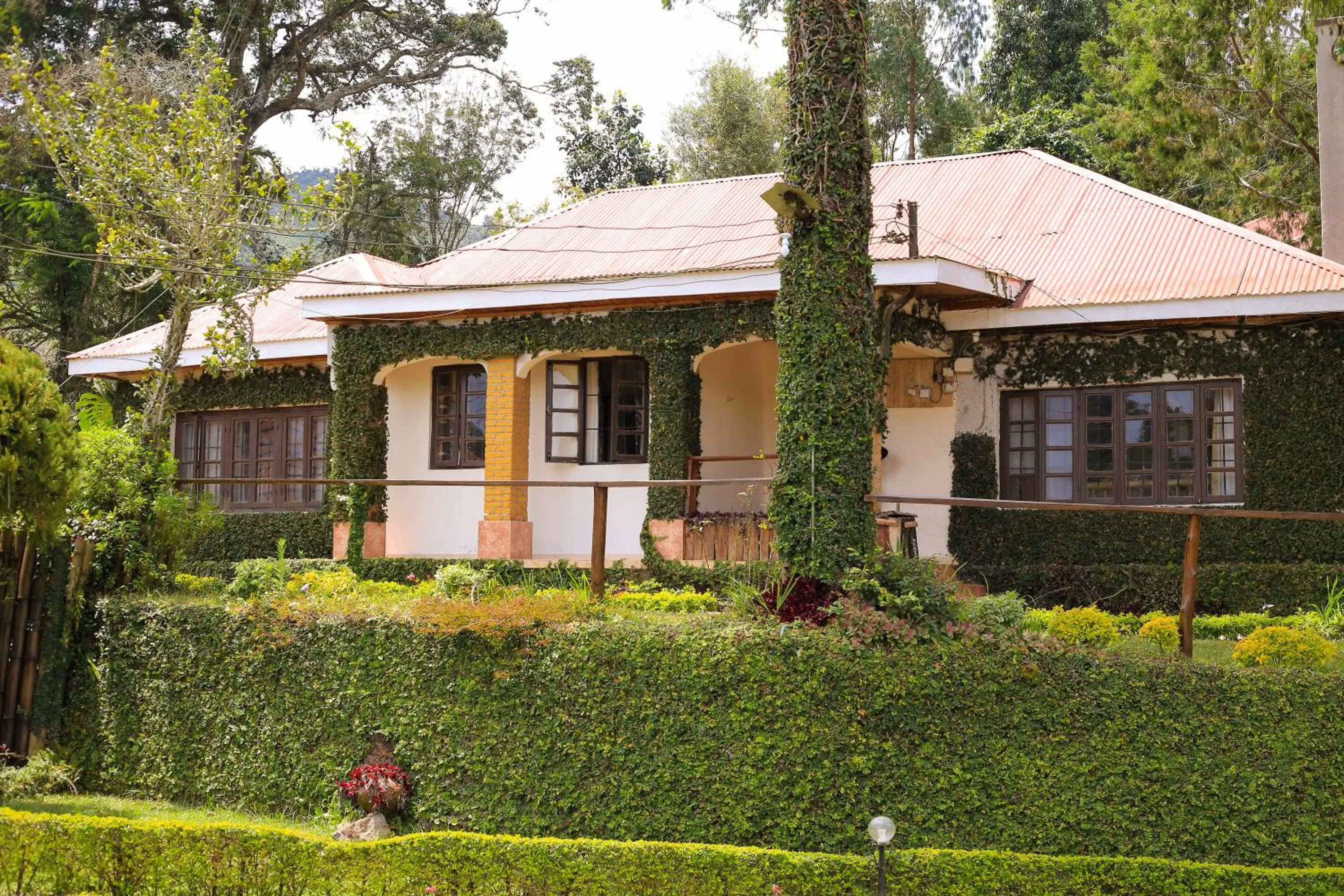 Garden view in LUSHOTO EXECUTIVE LODGE