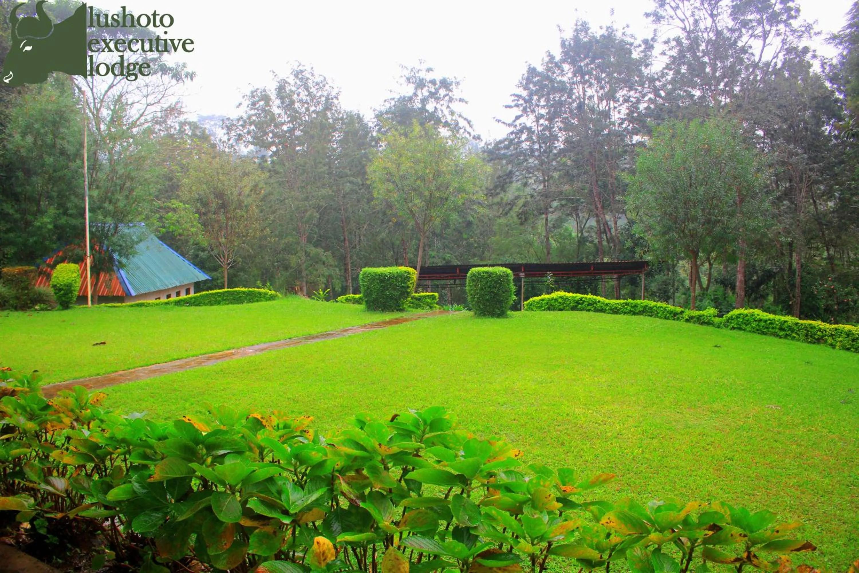 Natural landscape in LUSHOTO EXECUTIVE LODGE